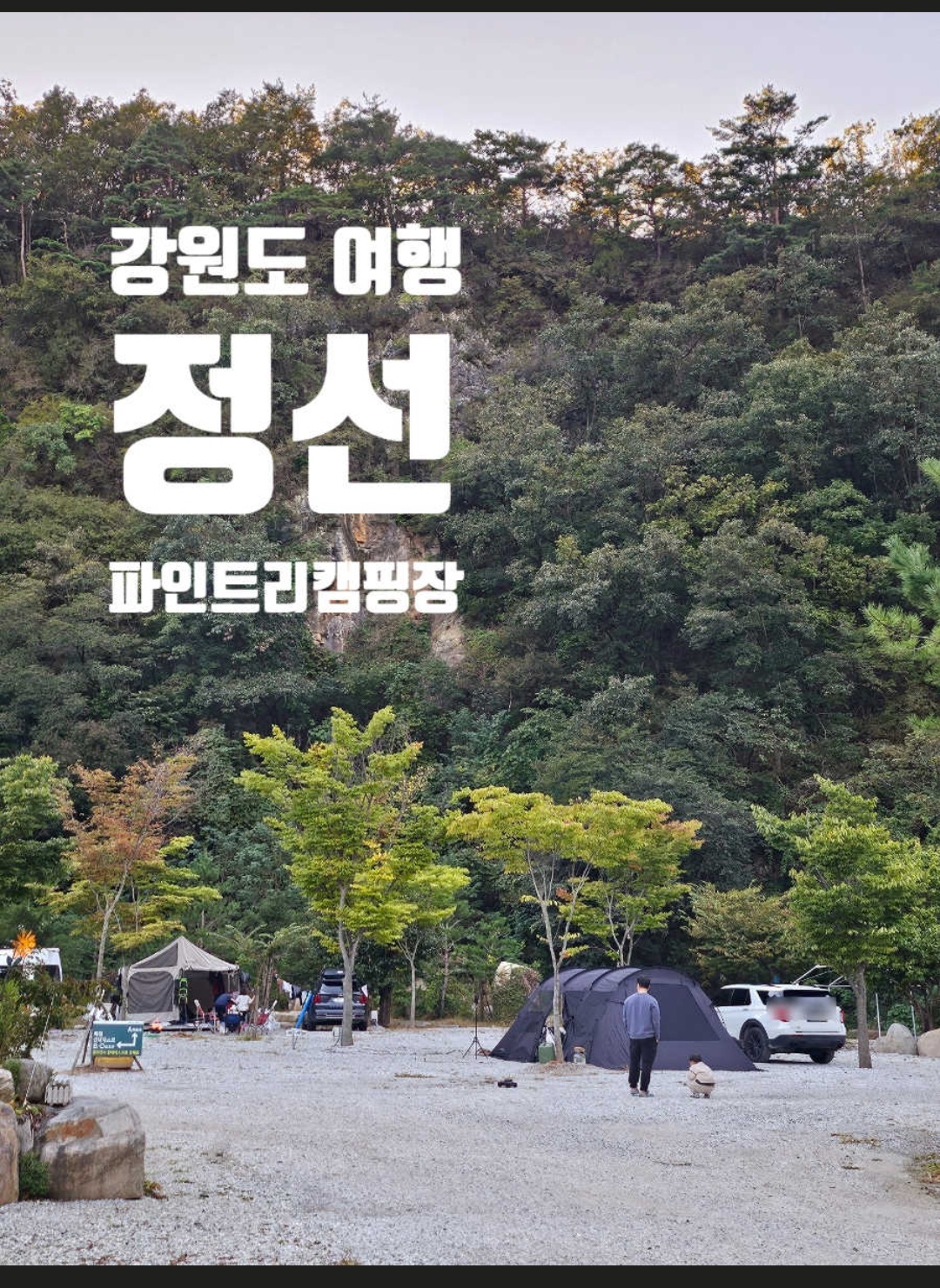 파인트리캠핑장