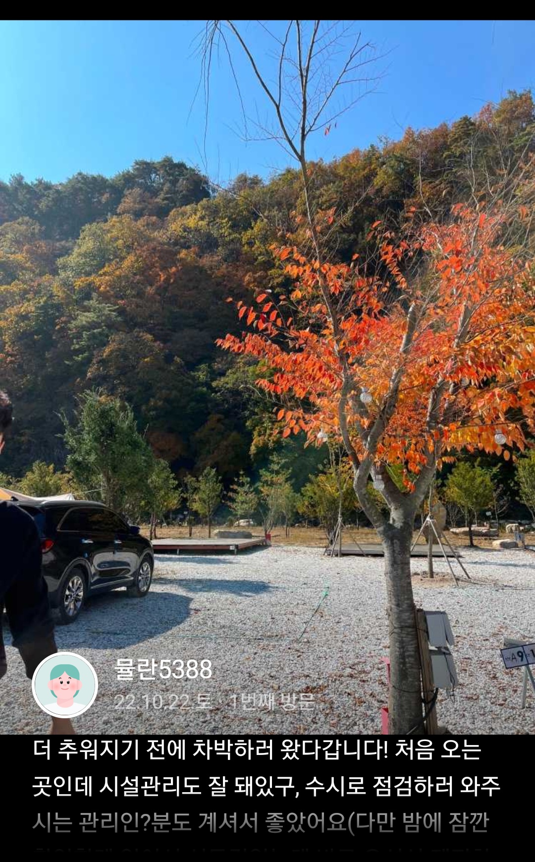 파인트리캠핑장