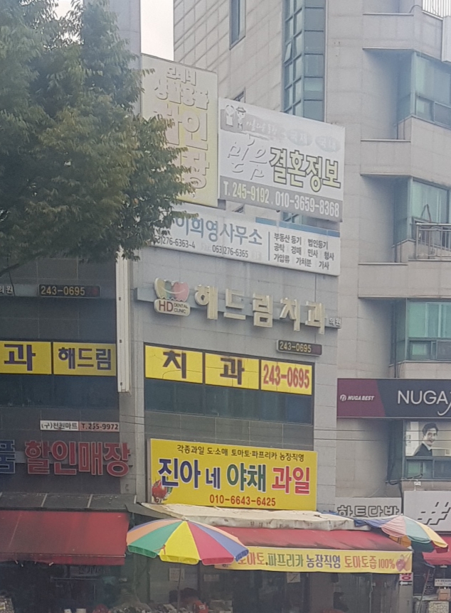 진아네야채과일