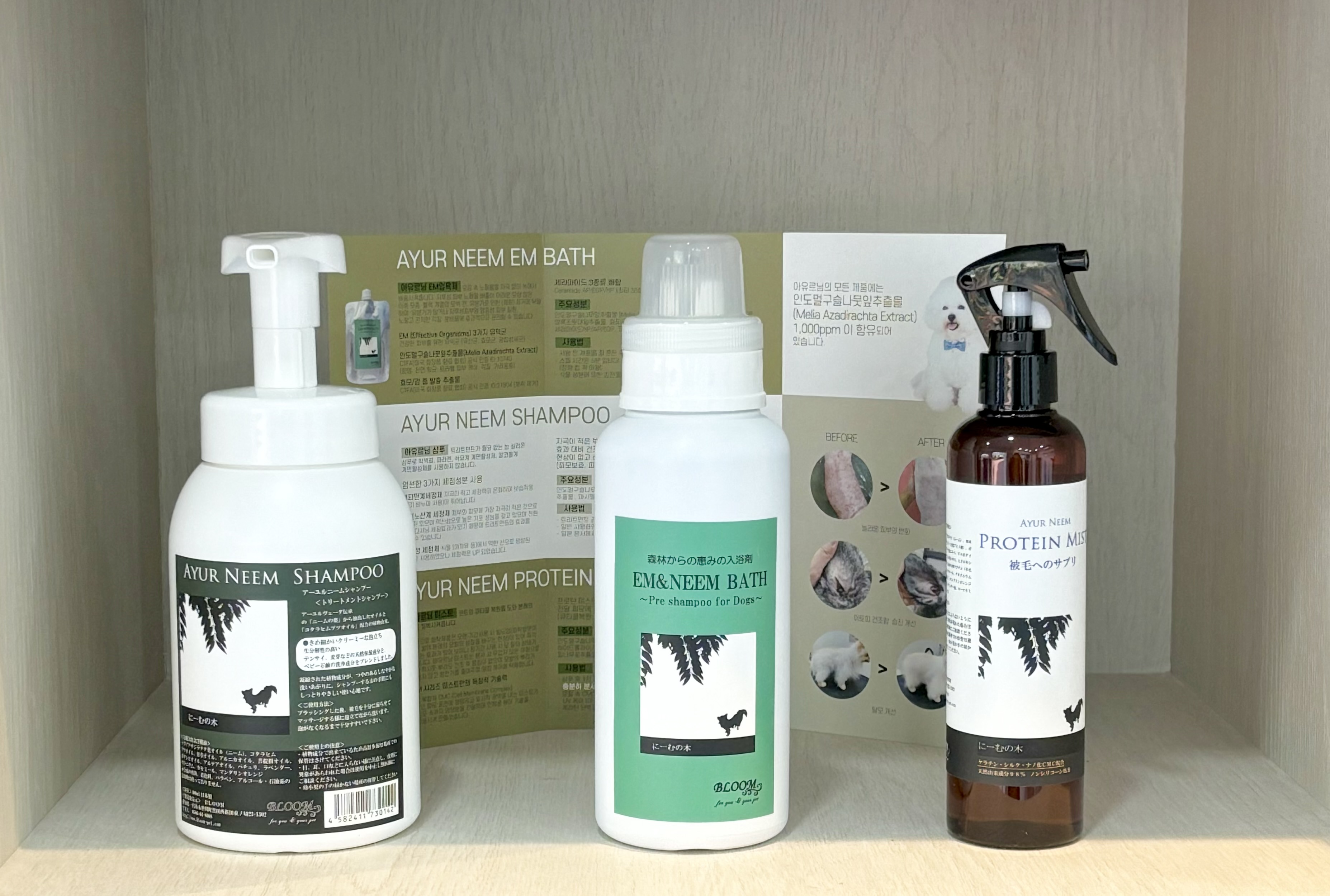 내 아이 멍멍 대표 이미지