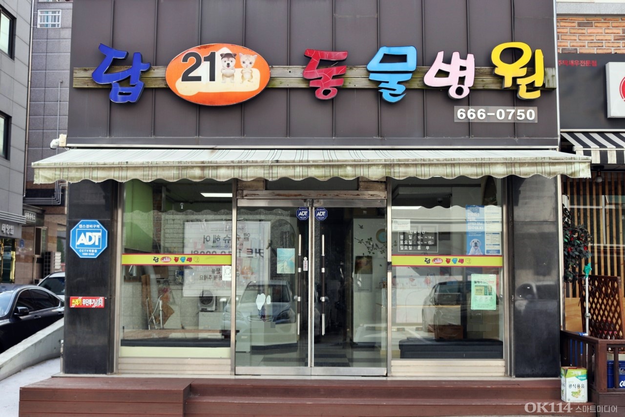 답21동물병원