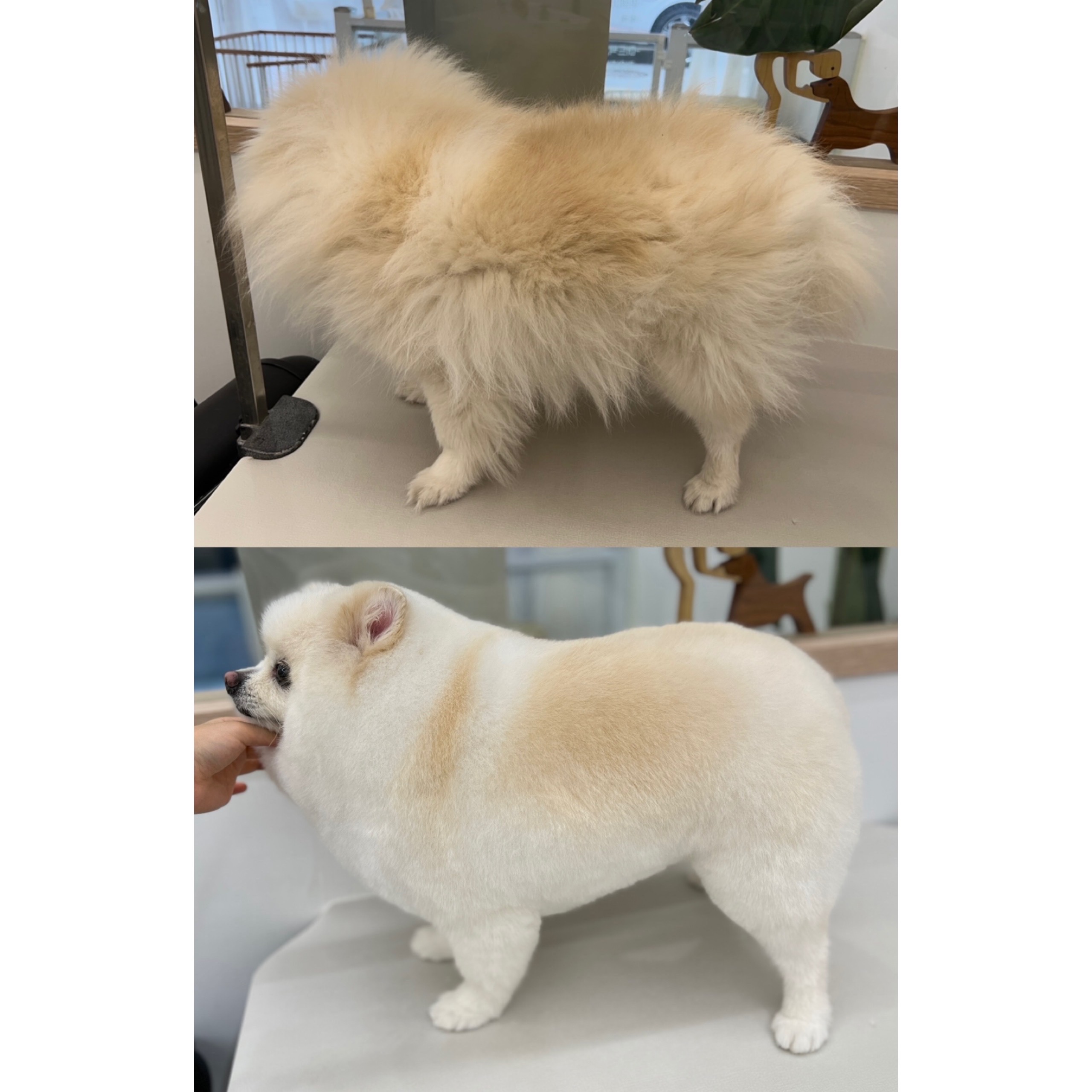 미장월 대표 이미지