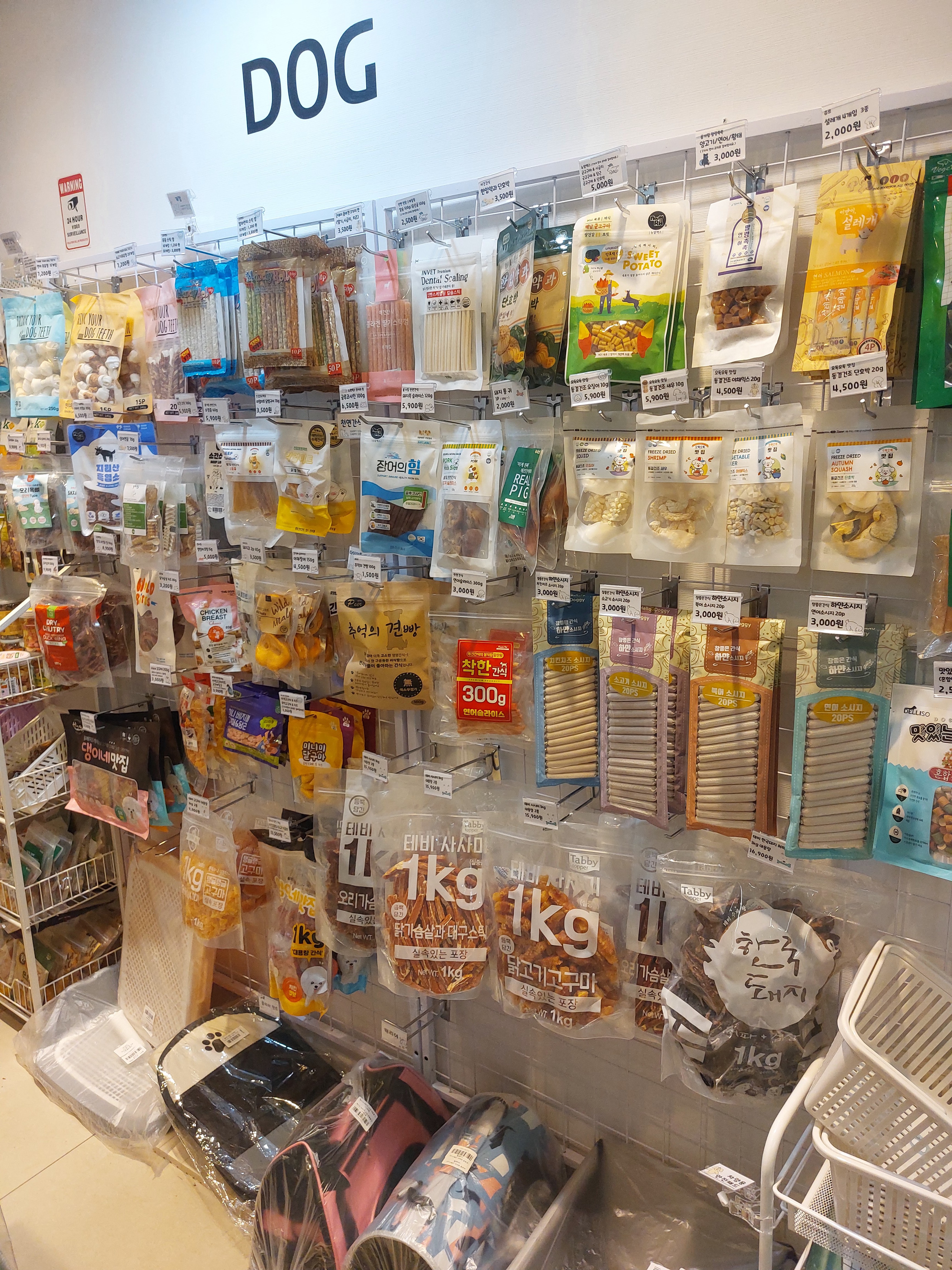 멍냥산책 대표 이미지