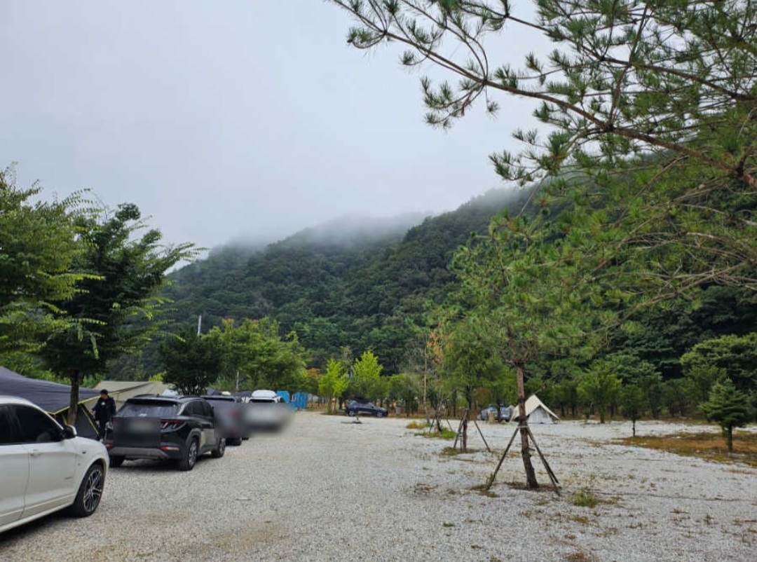 파인트리캠핑장