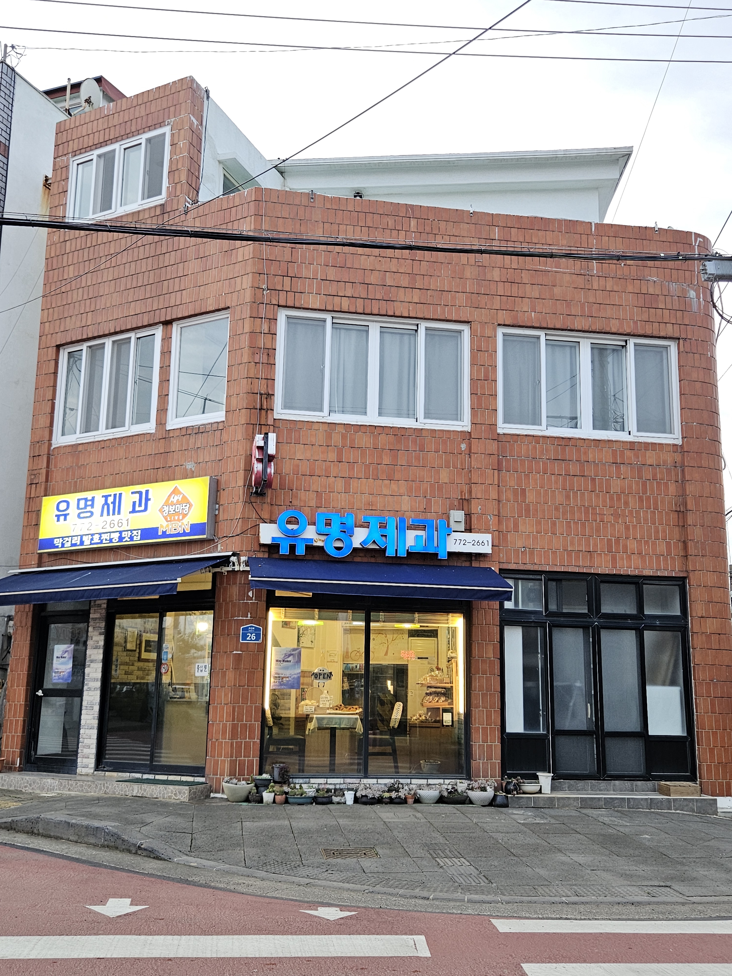 제주 제주시 찐빵맛집 전문점 방문해 보세요 유명제과