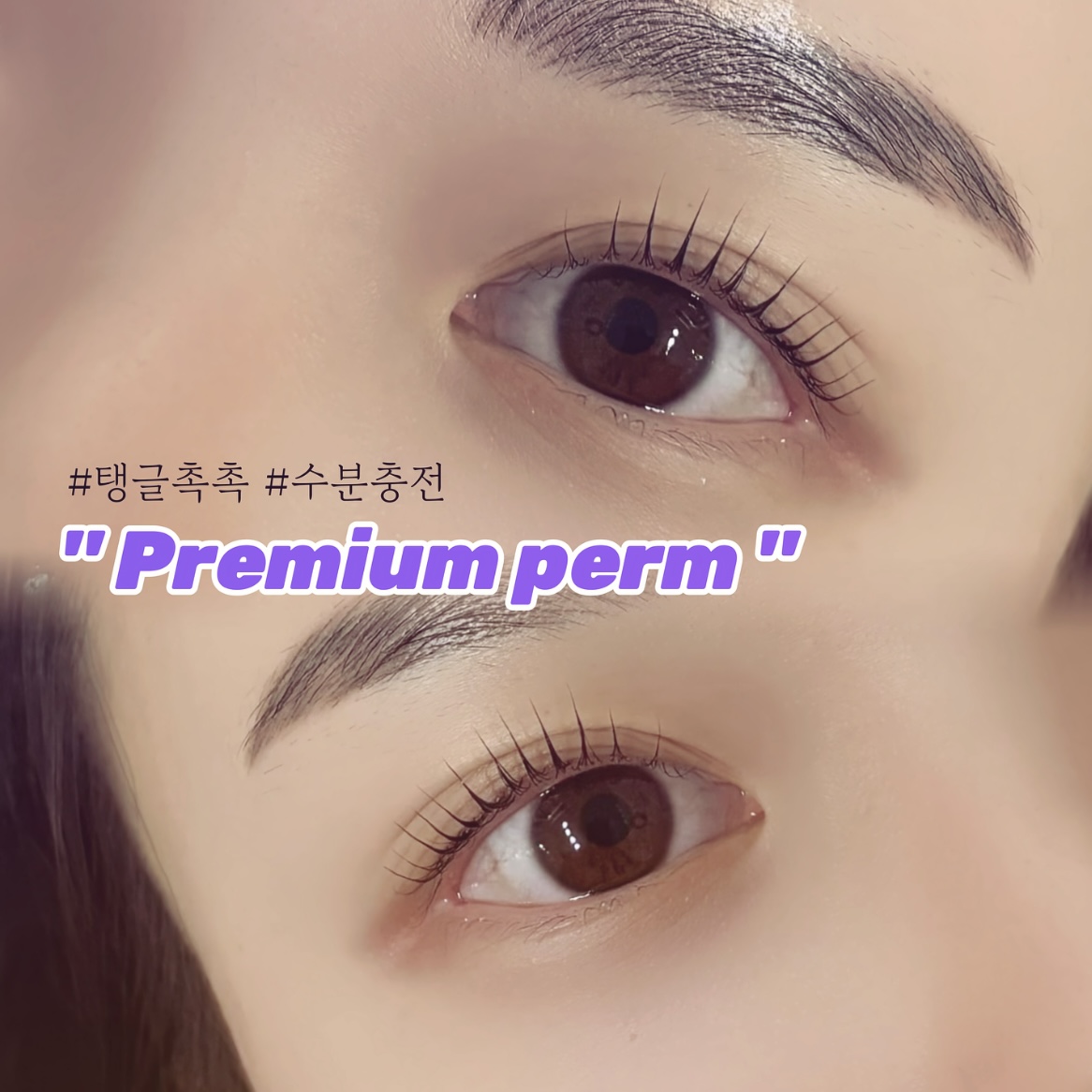 보배롭다