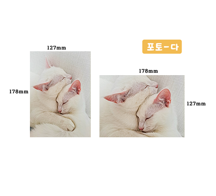 포토 체크