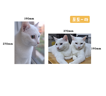 포토 체크