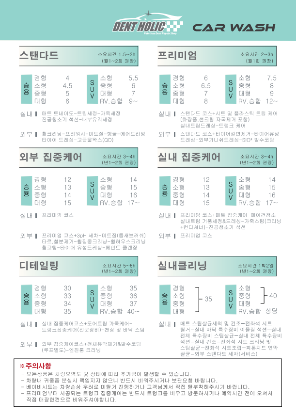 덴트홀릭 외형복원&스팀세차