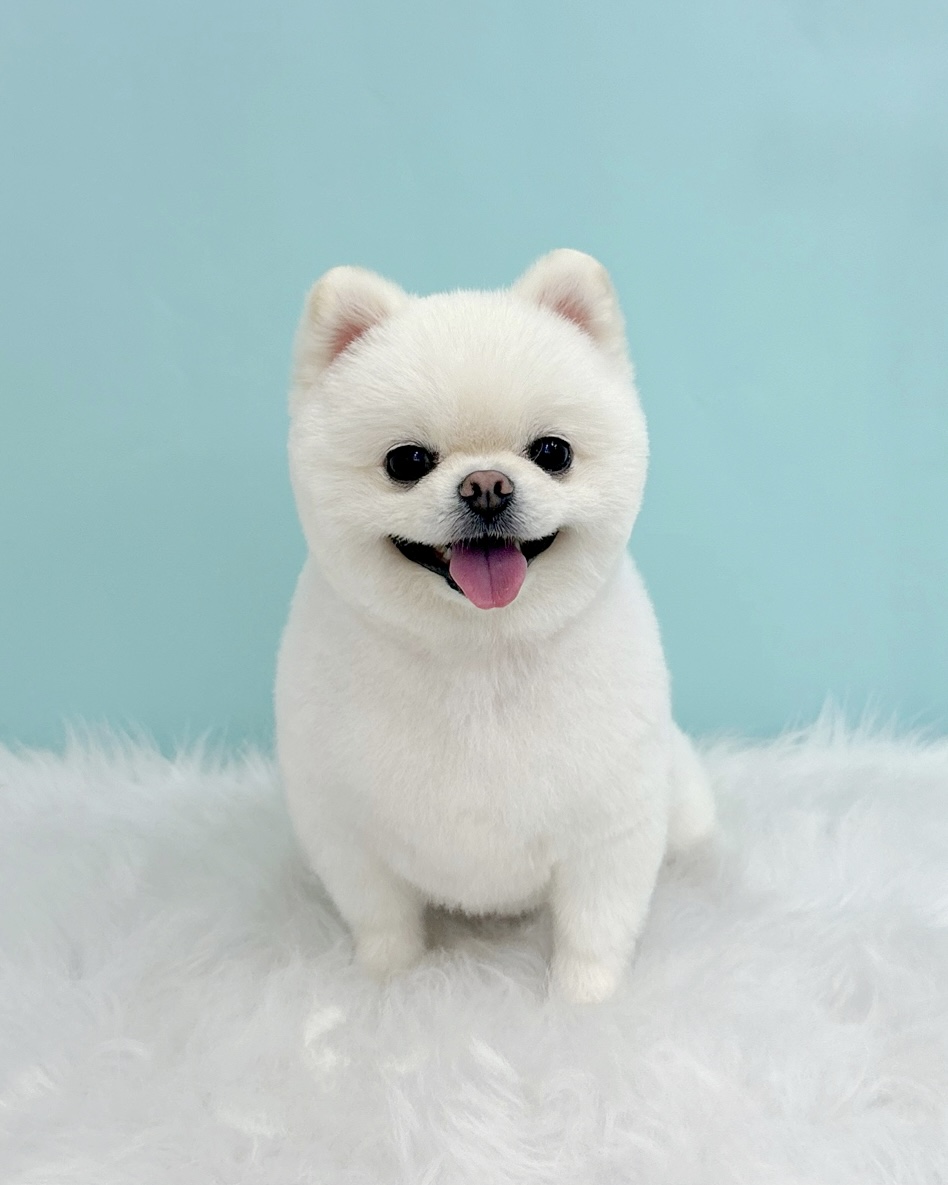 오멍누