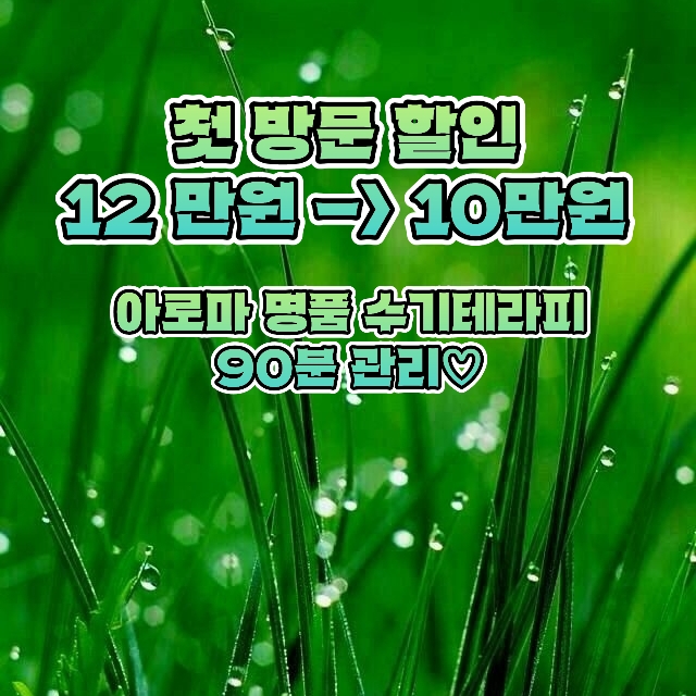 약손목화
