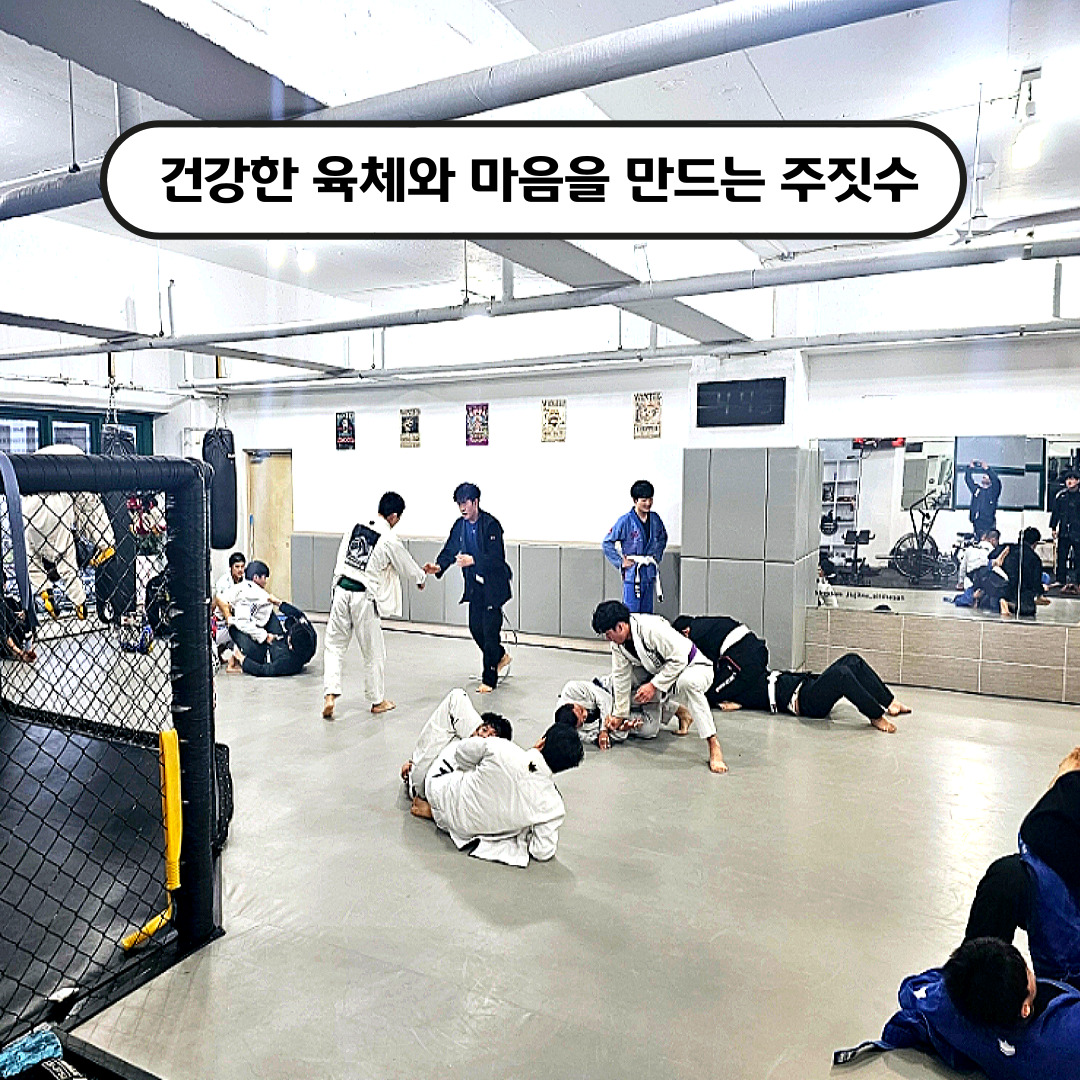 킹덤주짓수 신마산지부