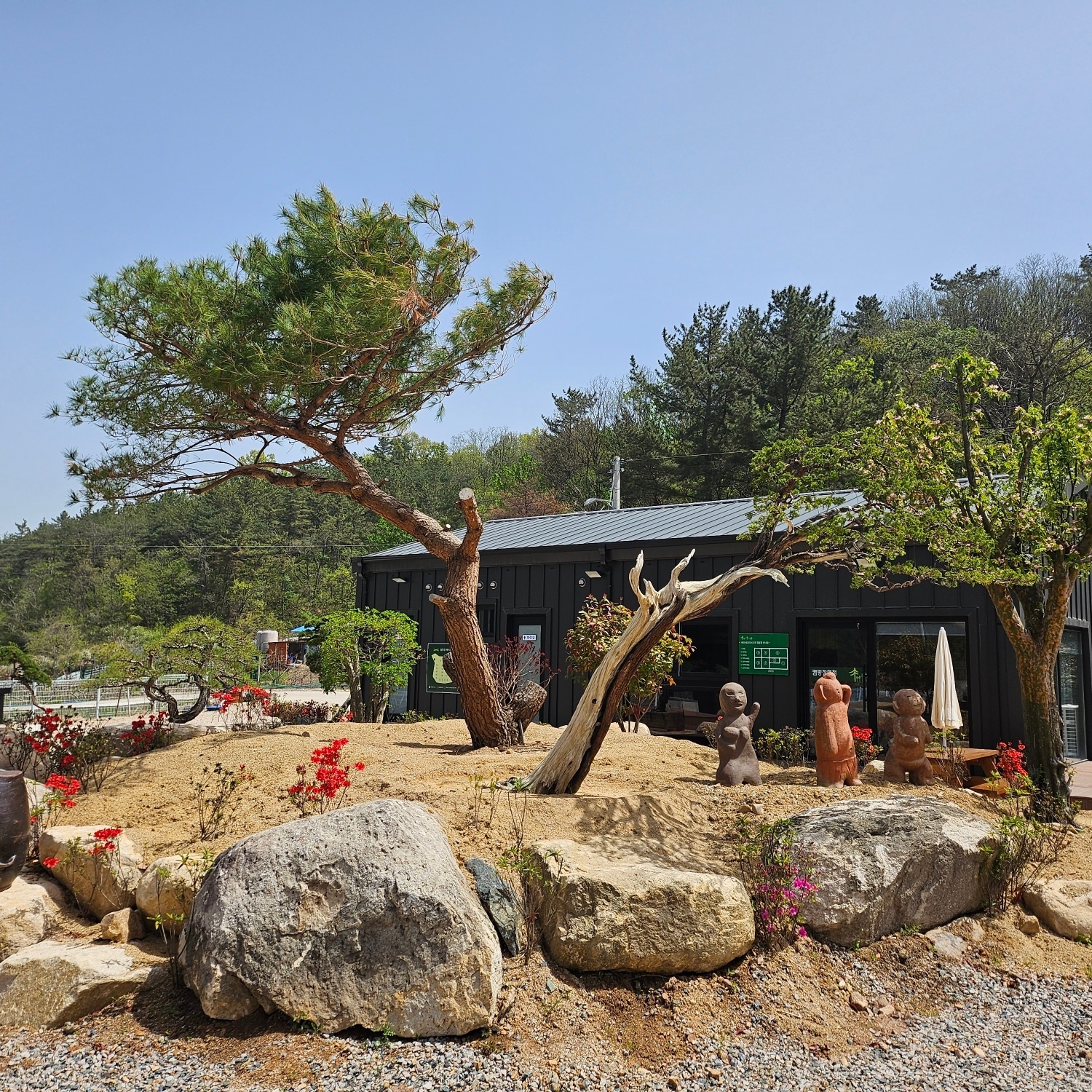메타세콰이어 오토캠핑장