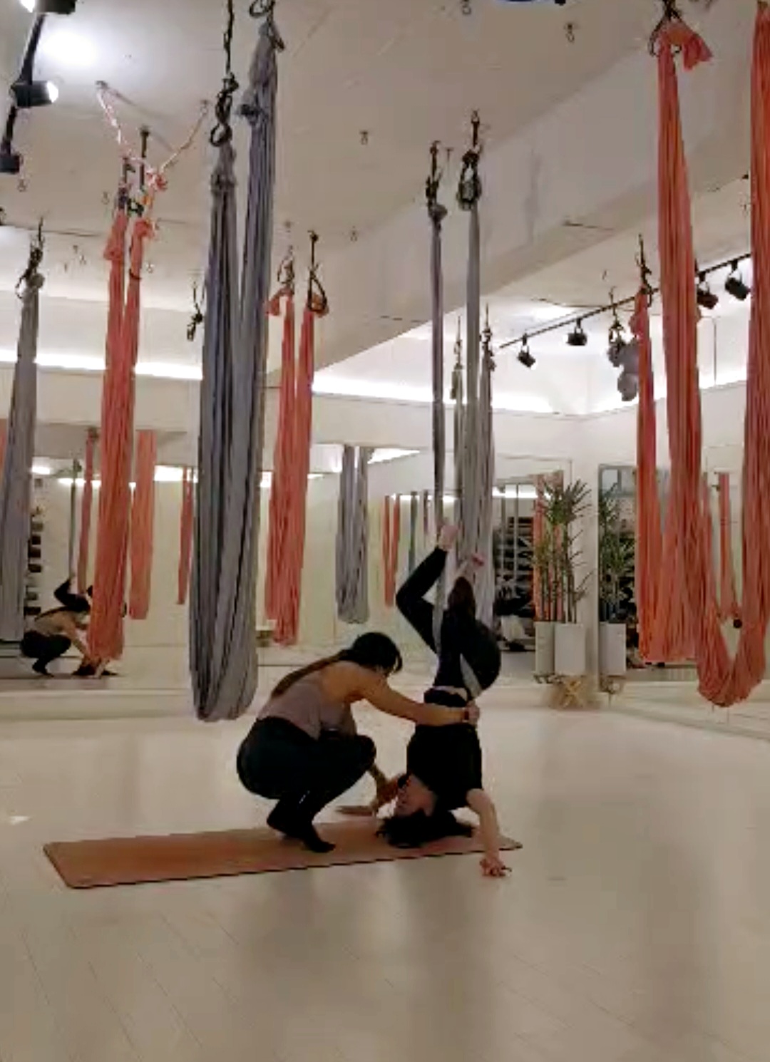 쉬즈플라잉요가&필라테스 대표 이미지