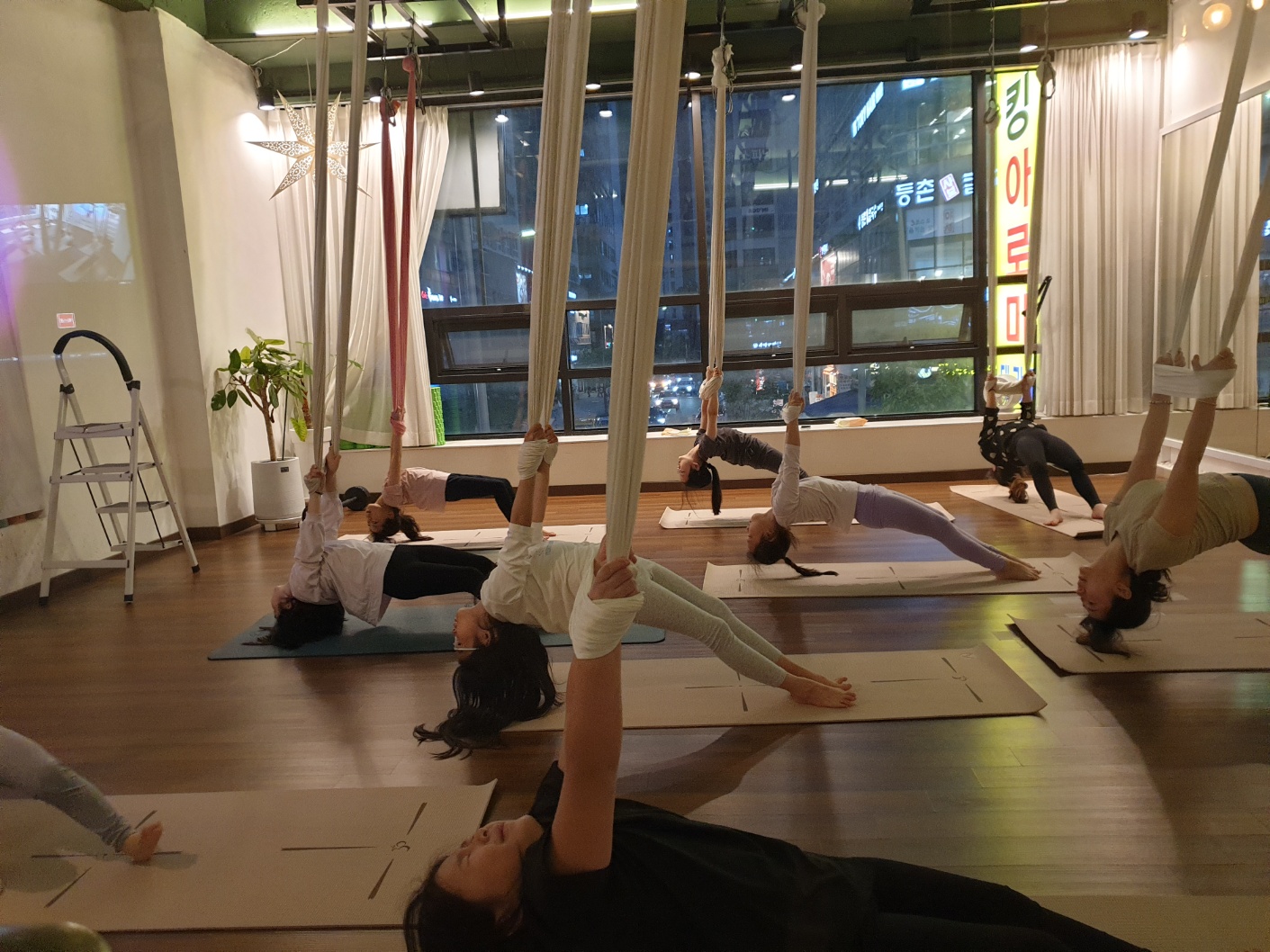 와이즈 플라잉 앤 번지 대표 이미지