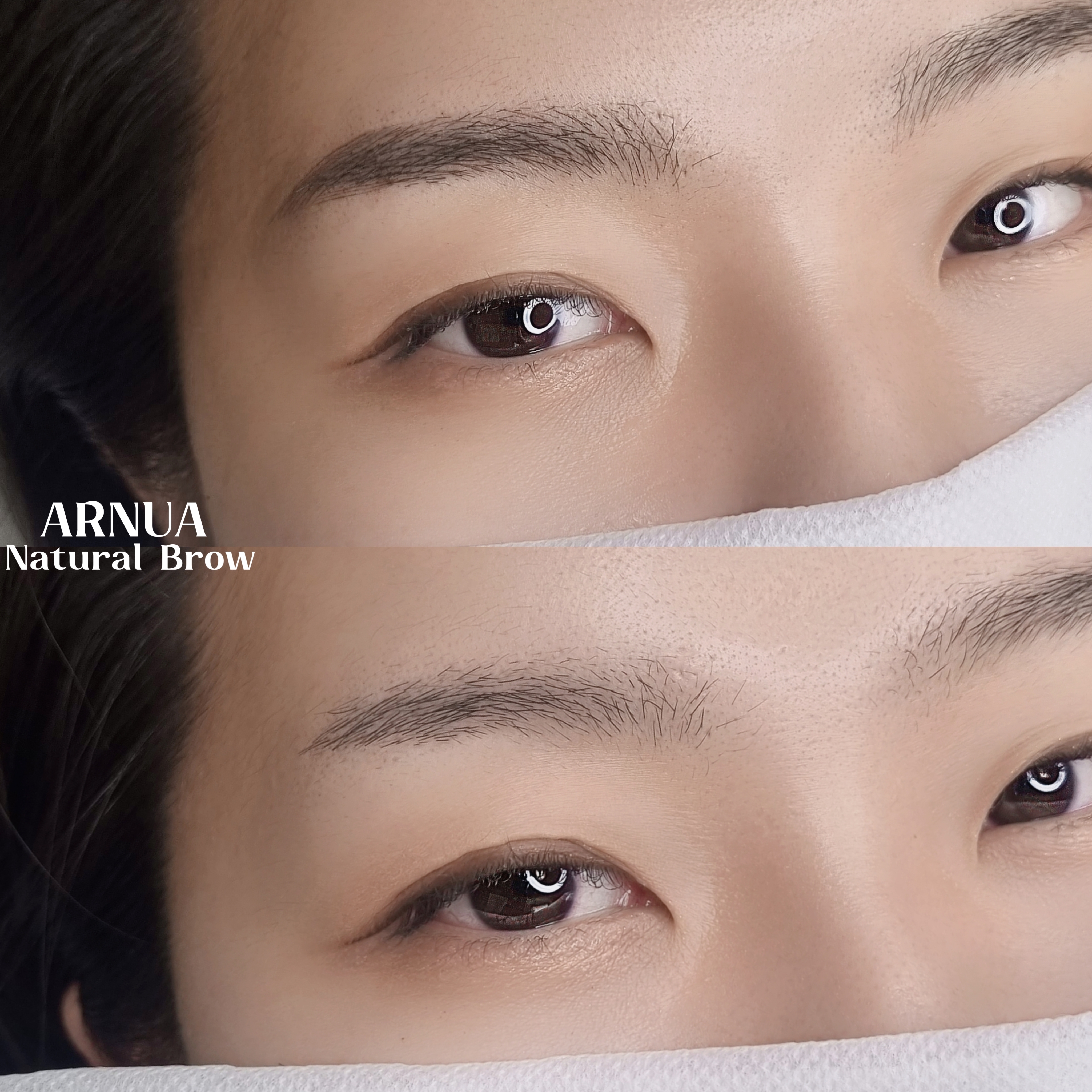 아르누아 대표 이미지