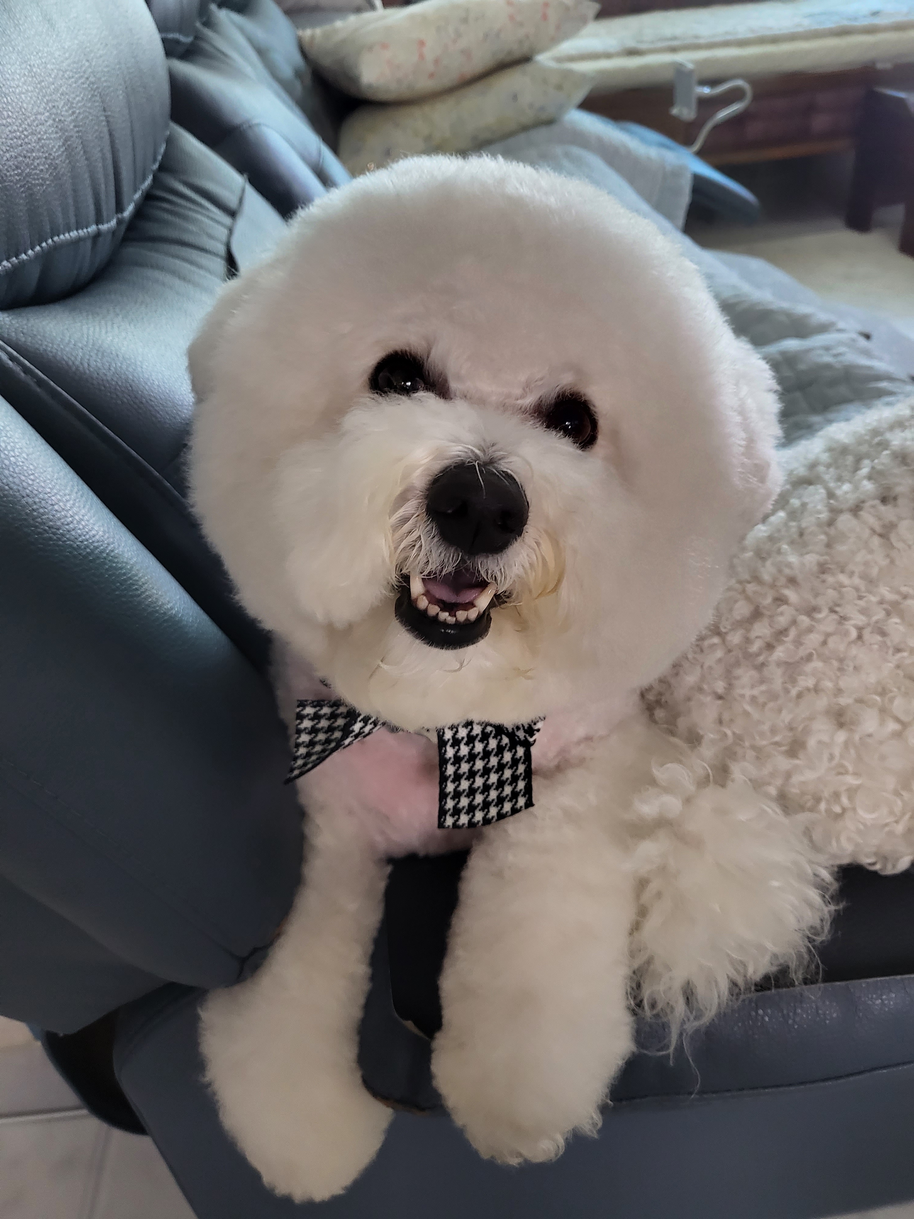 하루헤어