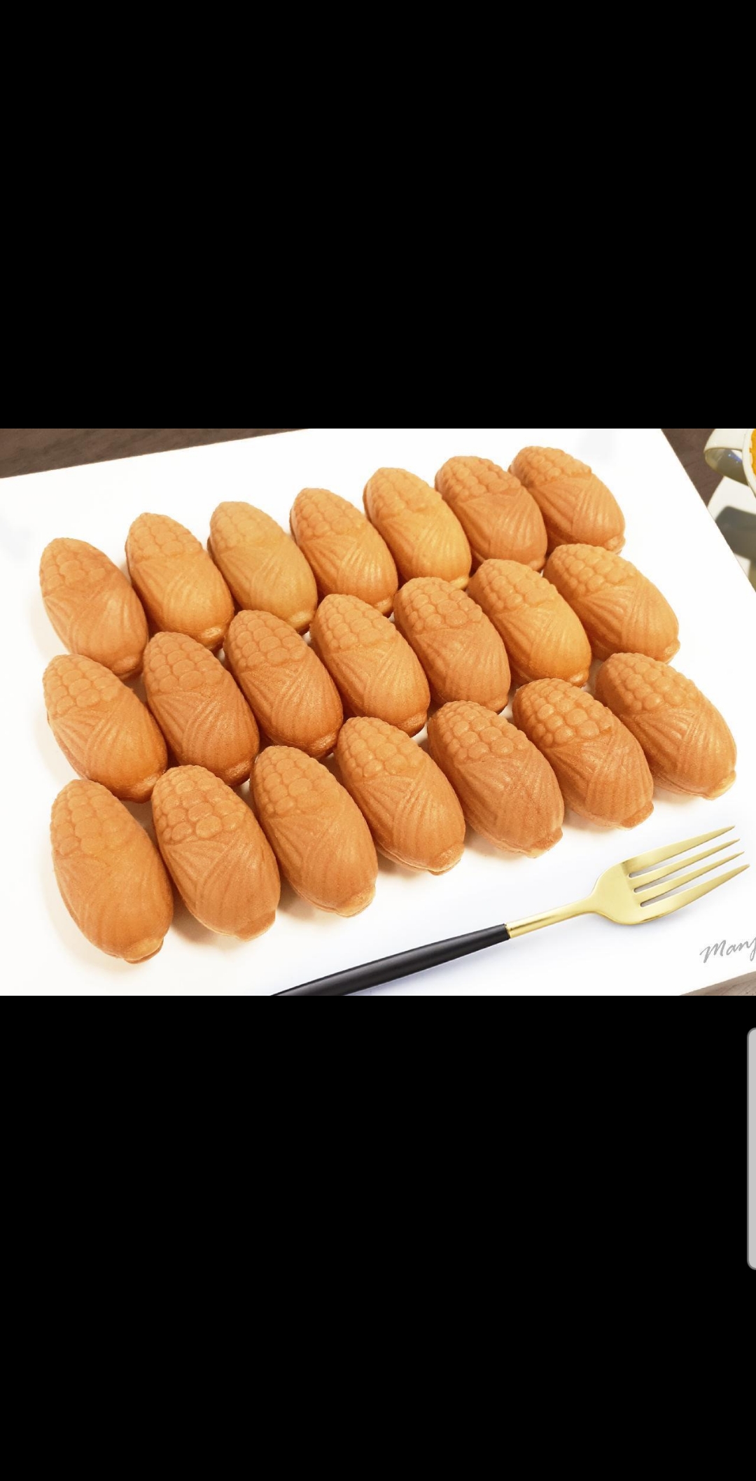 엔젤하우스 강원 애견맛집