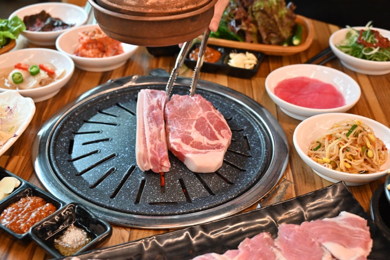 돈나무흑돼지