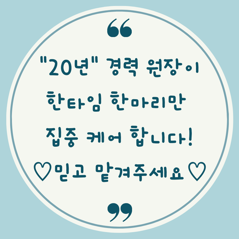 엠펫 반려견미용실