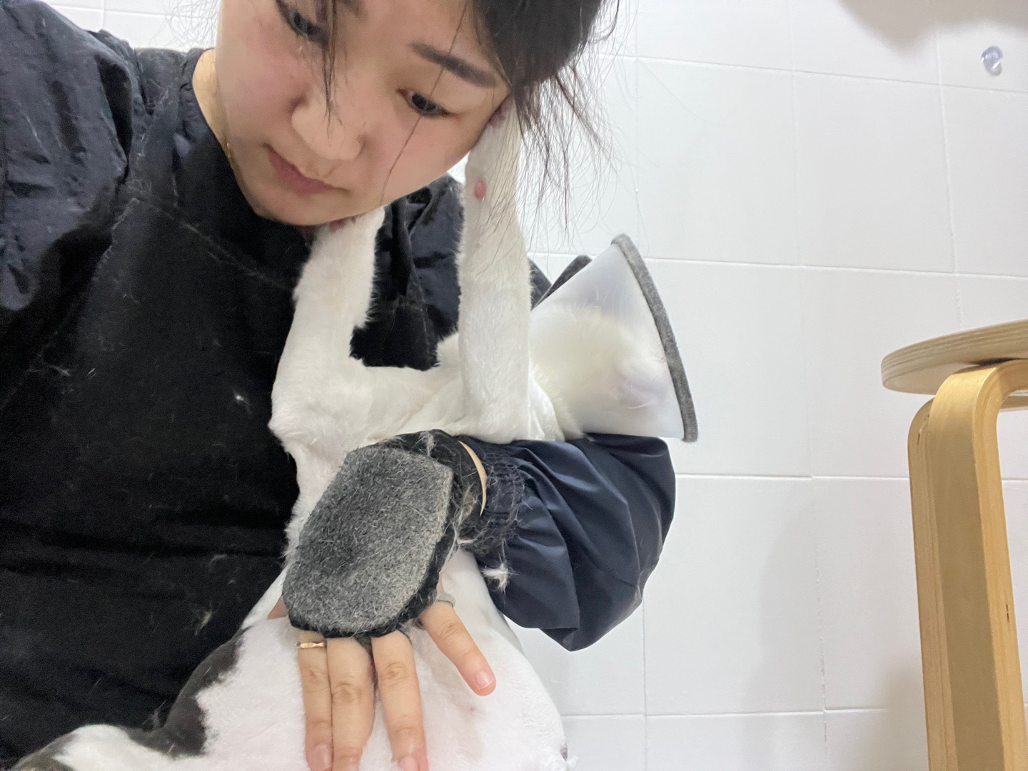 고양이미용&고양이호텔 우다다냥 대표 이미지