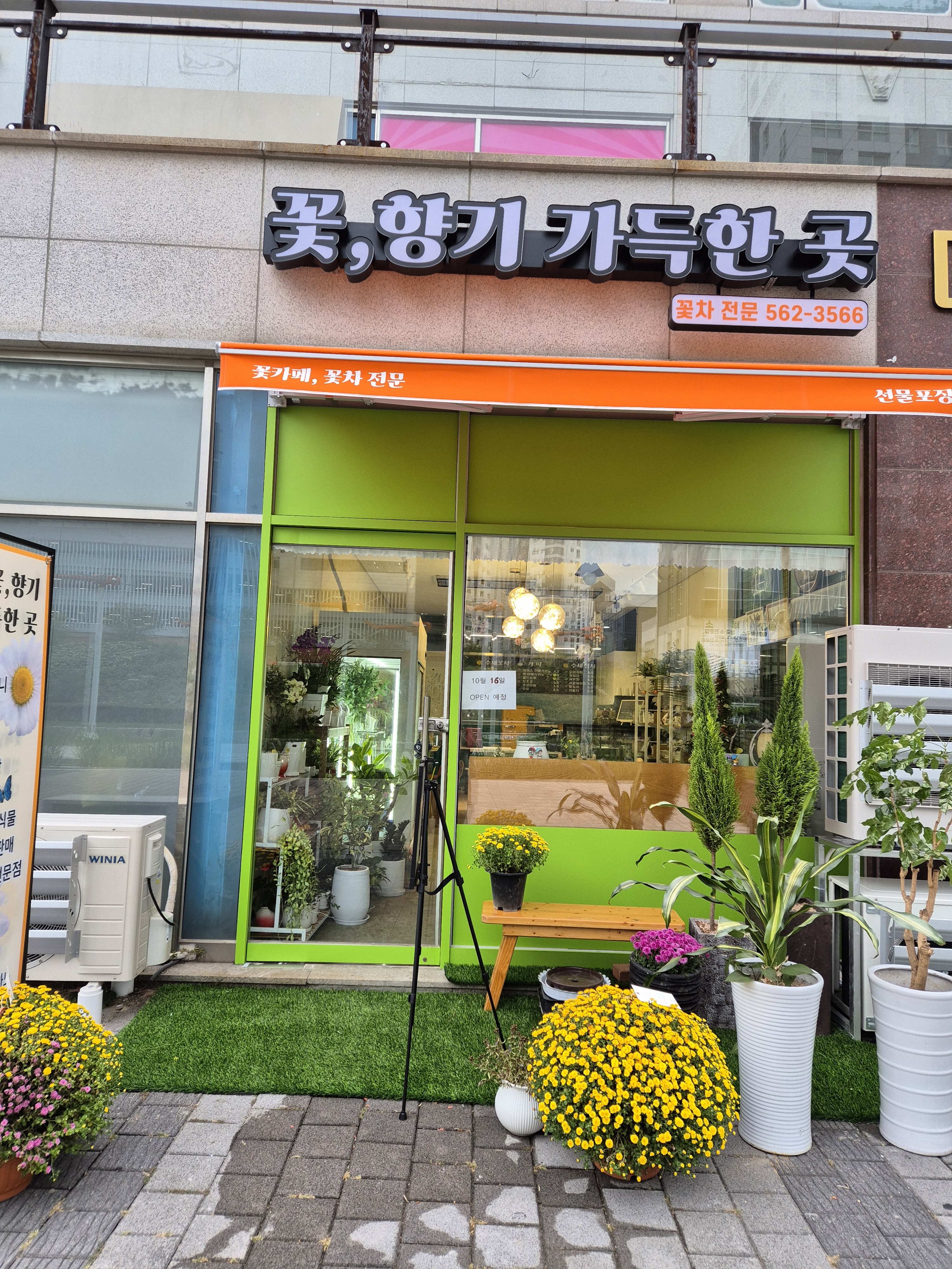 꽃향기가득한곳