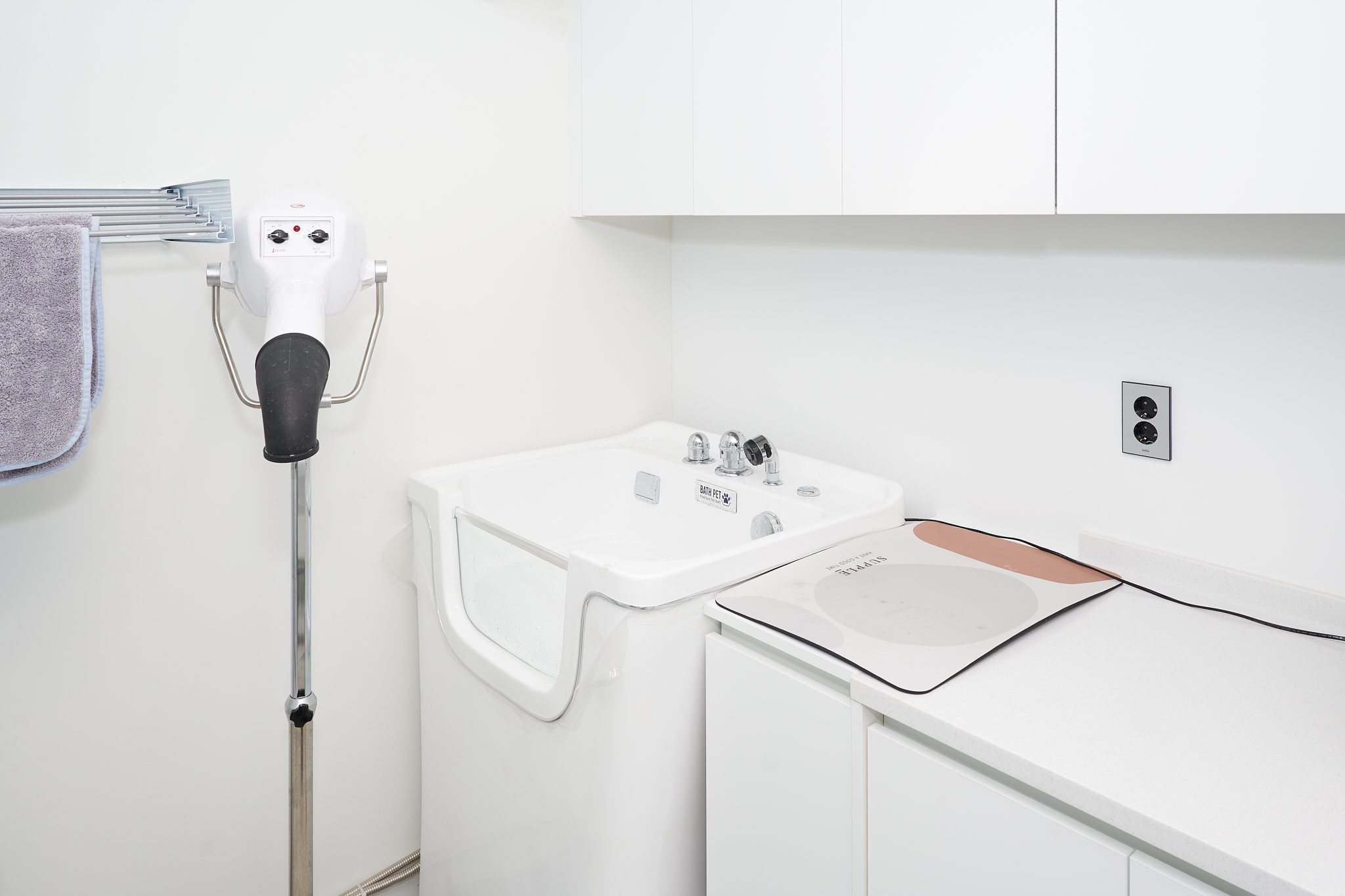 우다다냥 대표 이미지