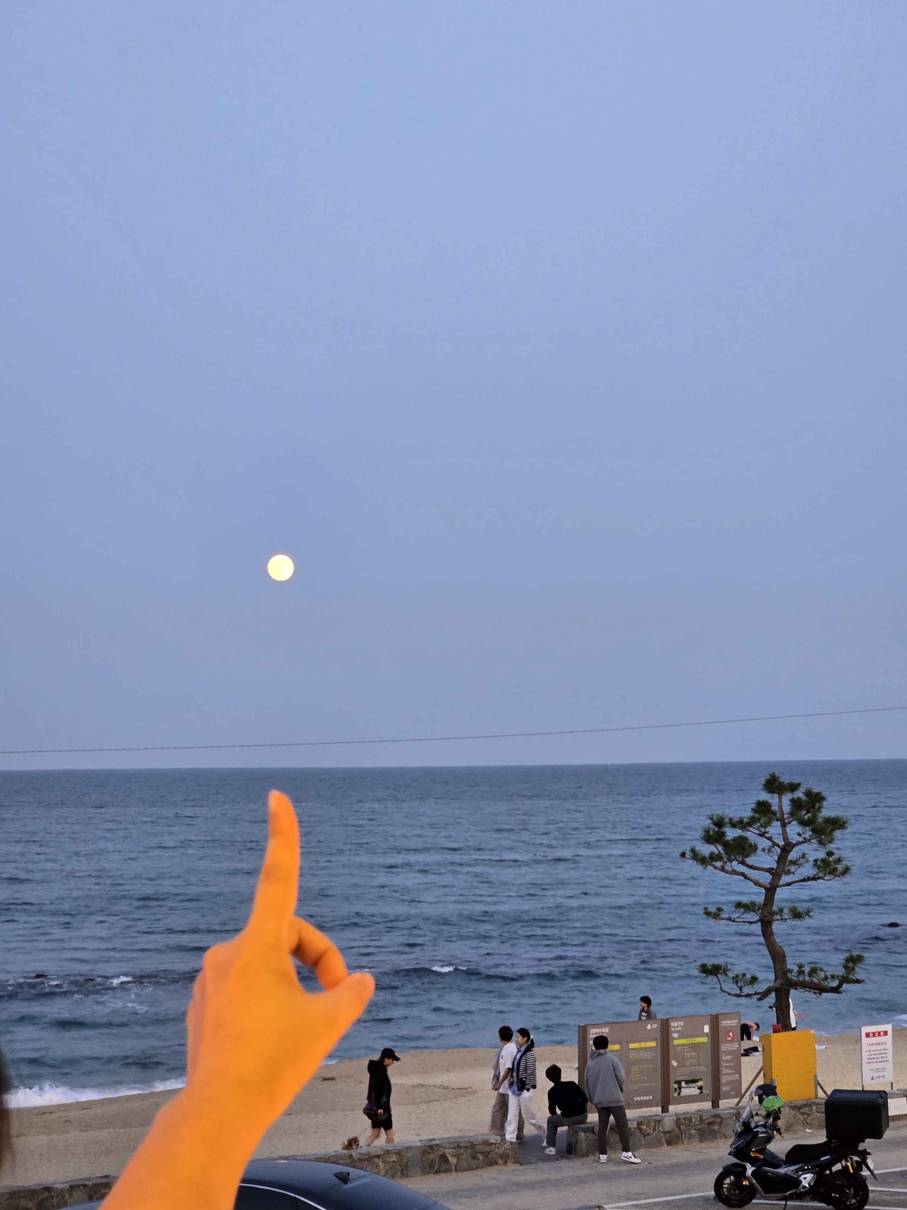 마더커피 강문점