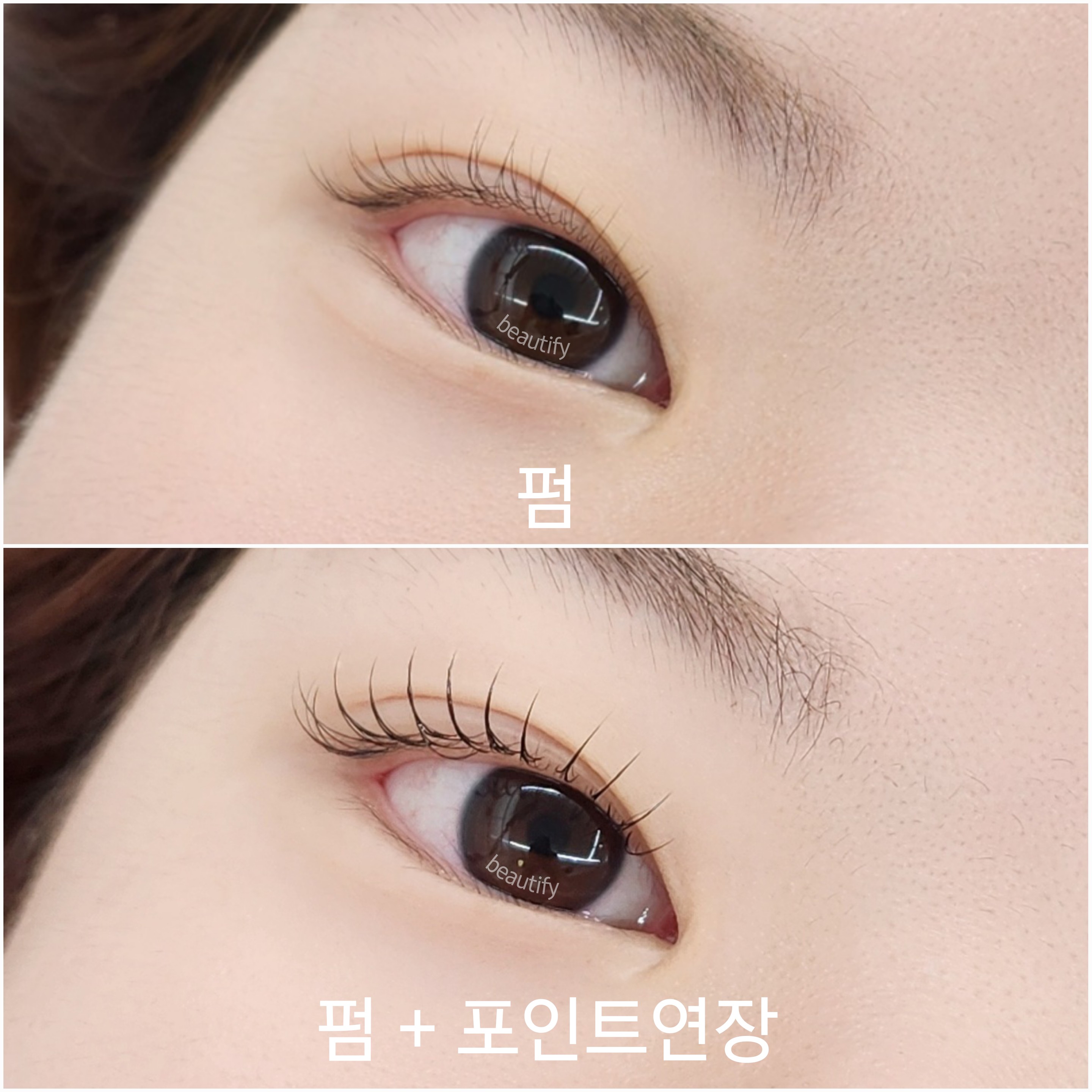 공덕눈썹 뷰티파이 대표 이미지