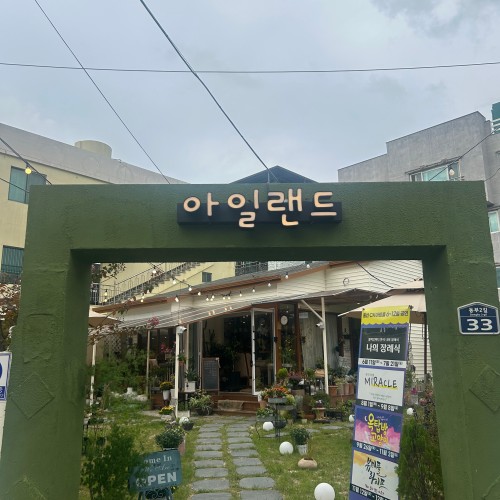 아일랜드플라워