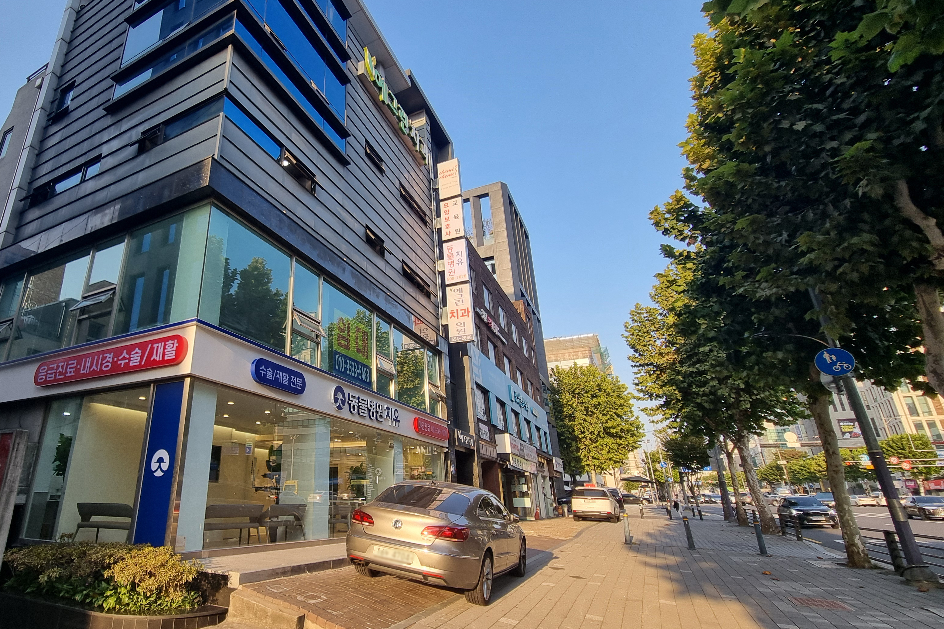 도곡치유동물병원 대표 이미지