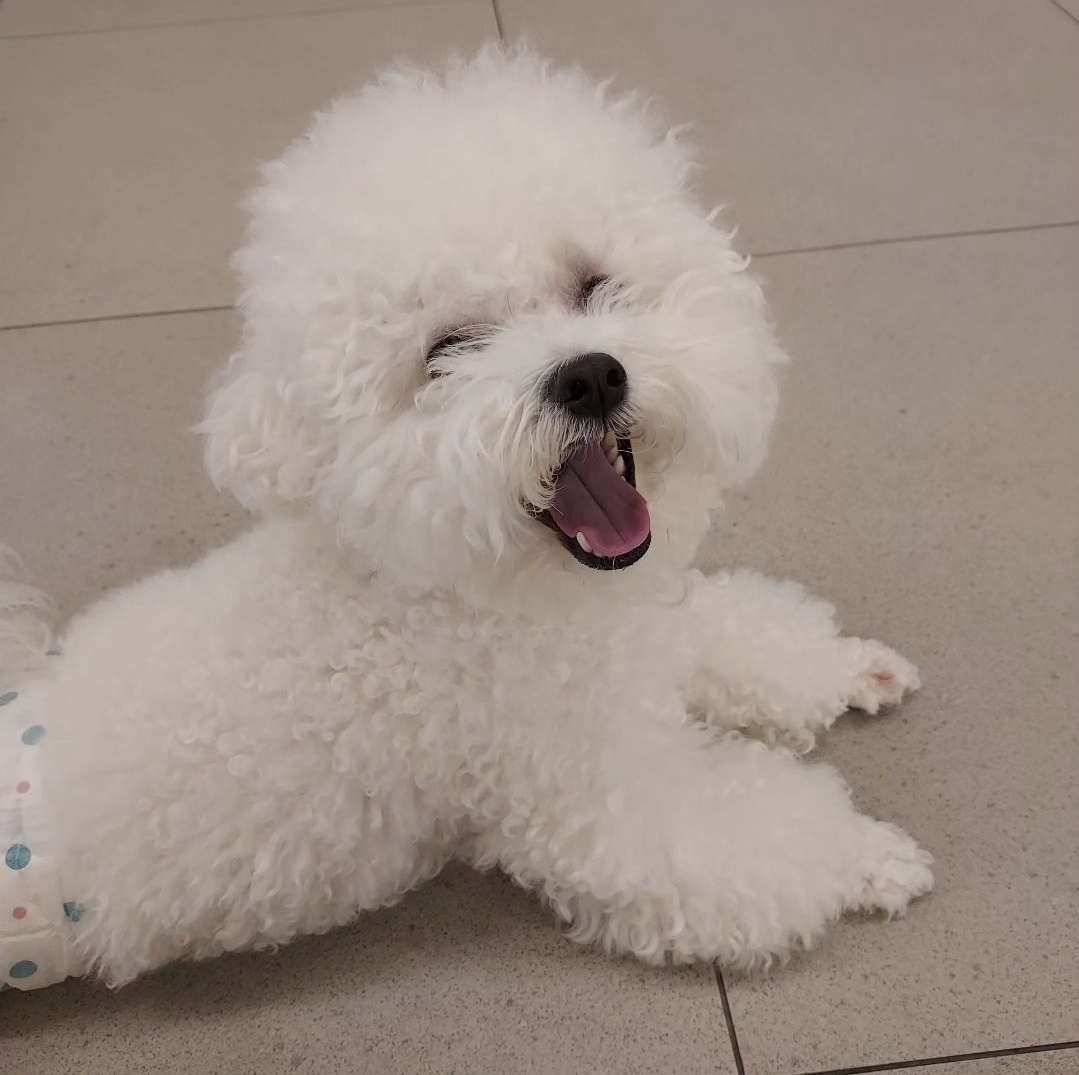 플라이투더뭉 대표 이미지