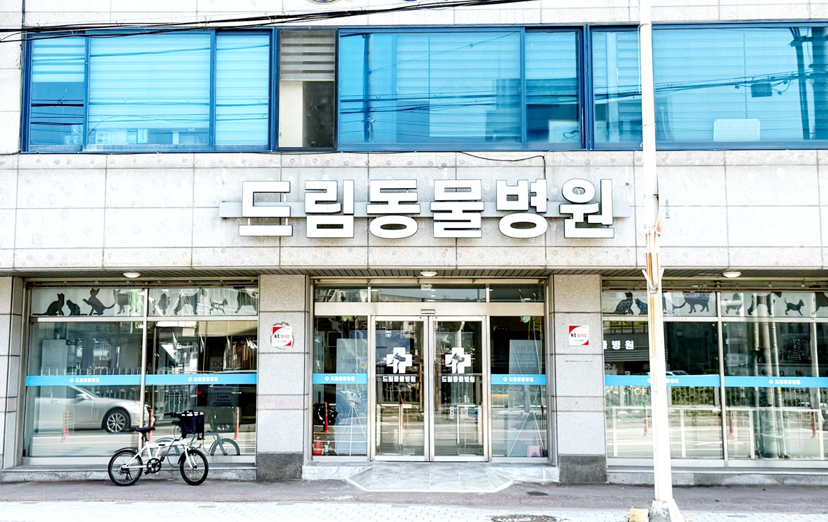 드림동물병원 내부 또는 관련 모습