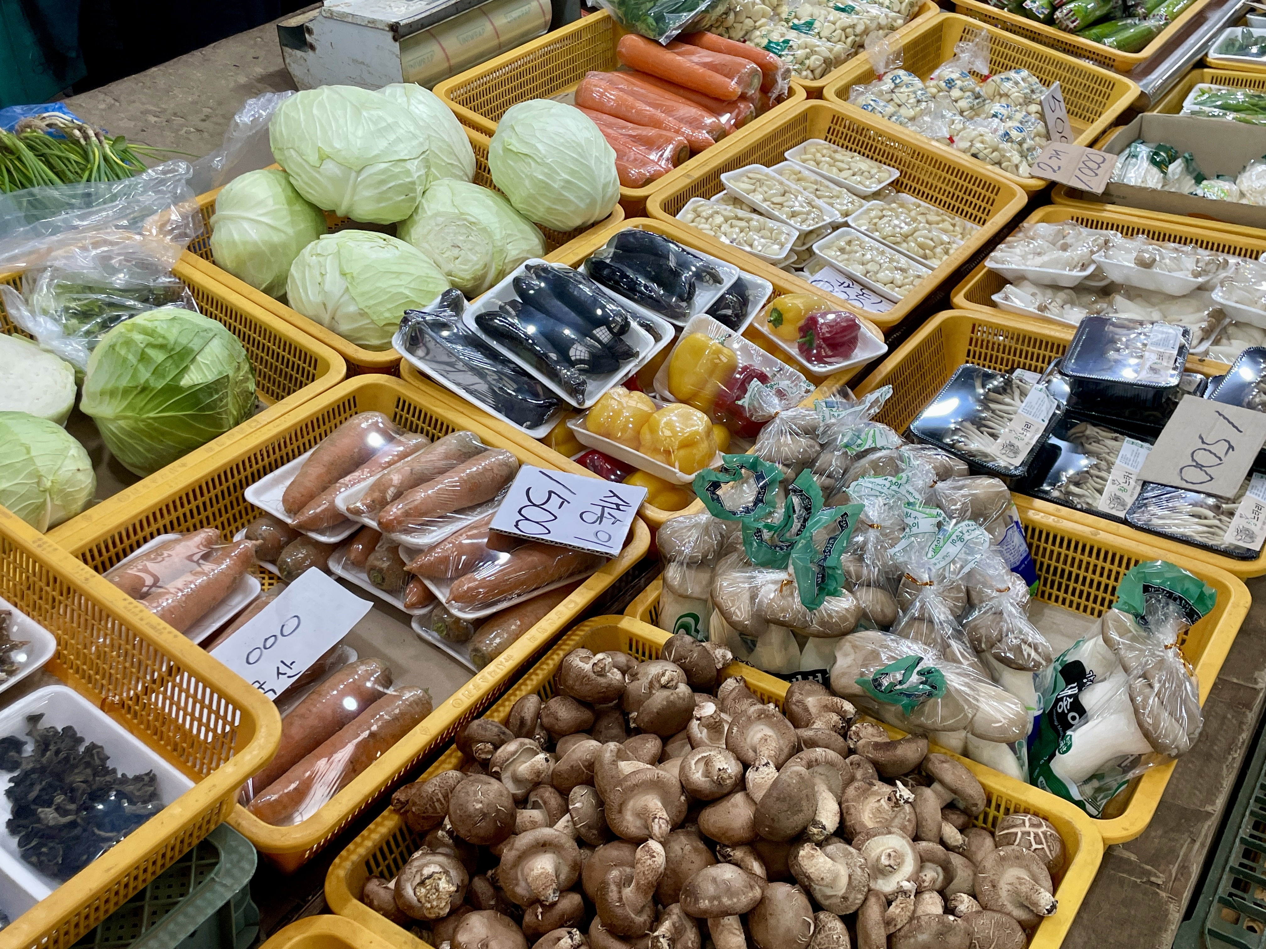늘푸른야채