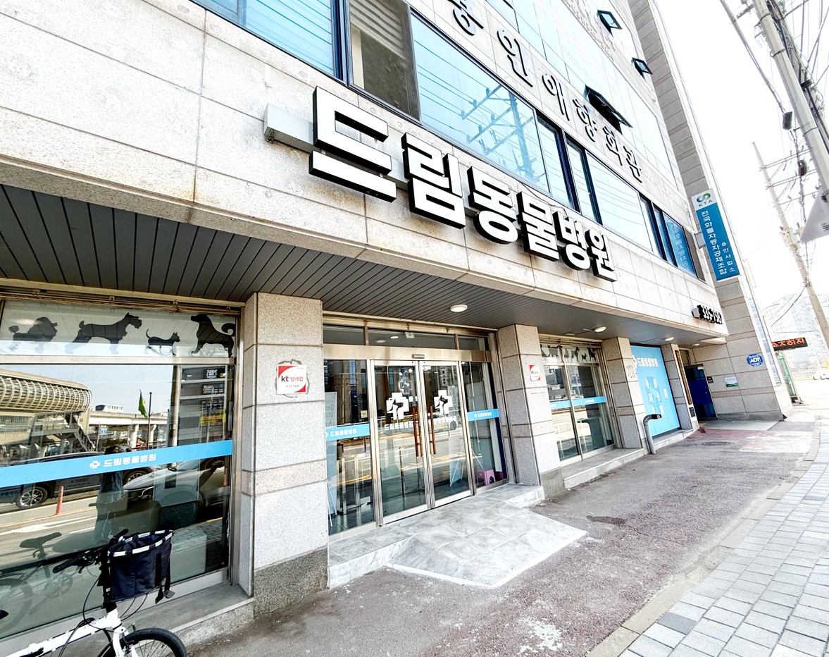 드림동물병원 내부 또는 관련 모습