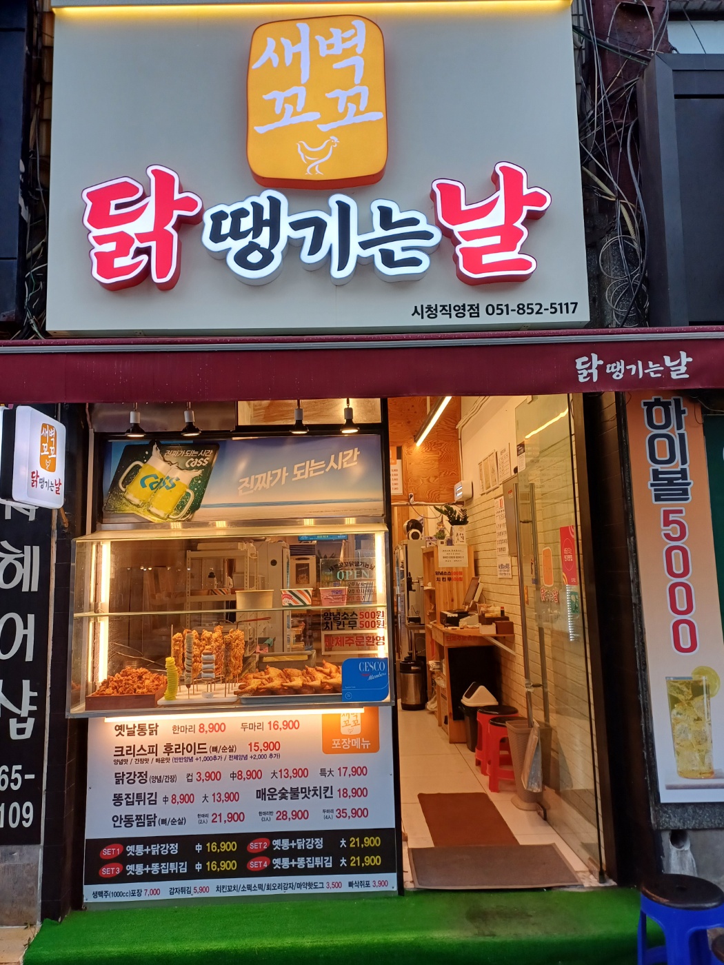 새벽꼬꼬닭땡기는날