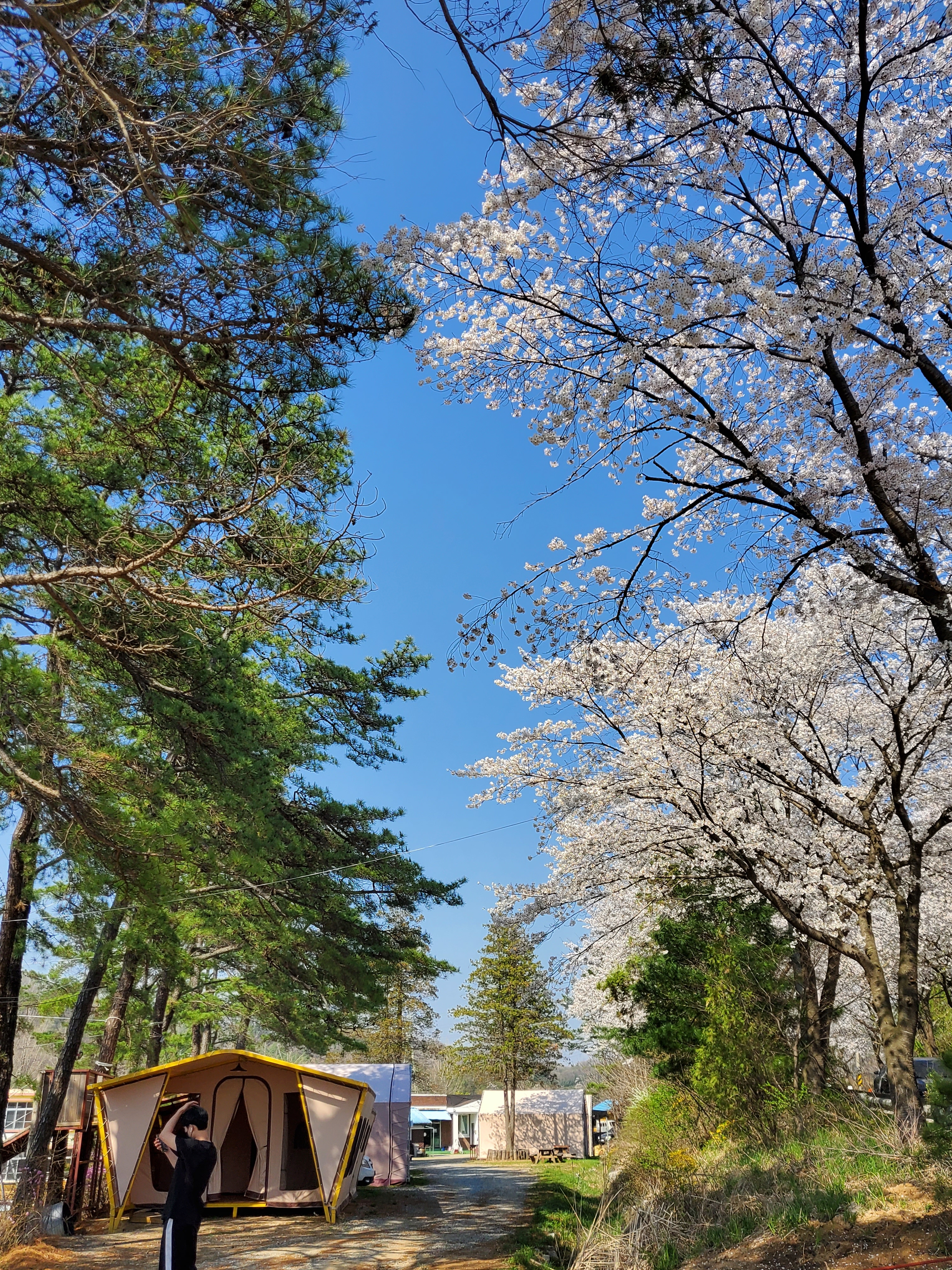 숲들내캠핑장