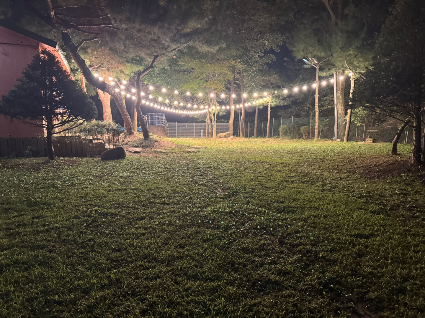 레티피코 대표 이미지