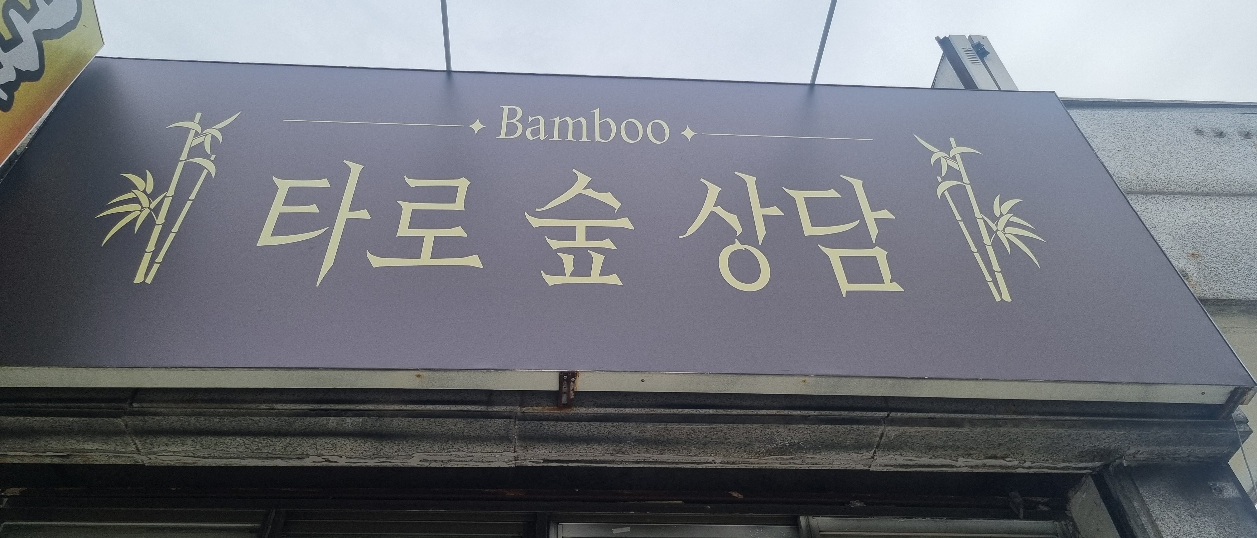 타로&상담bamboo