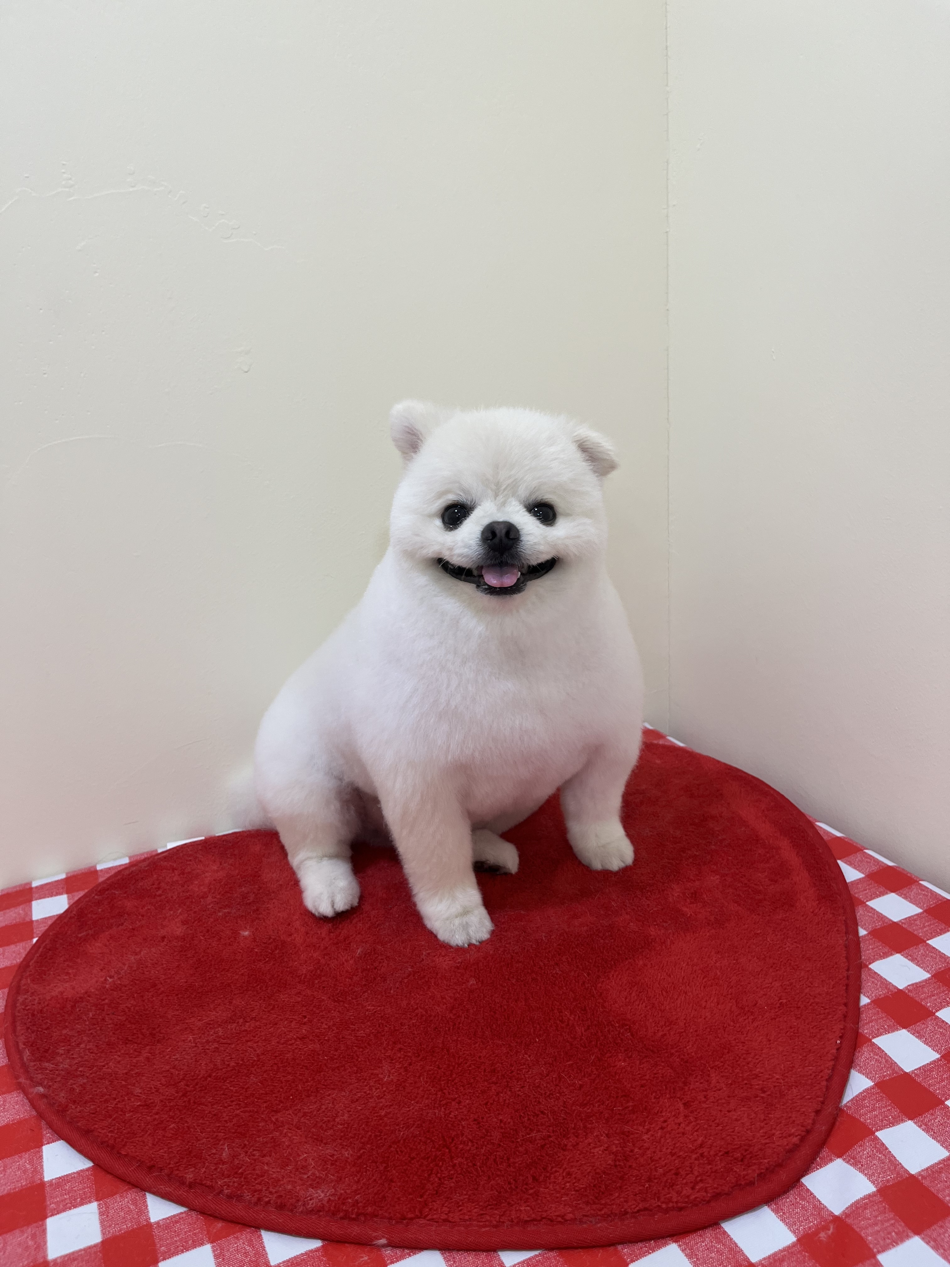 그루몽