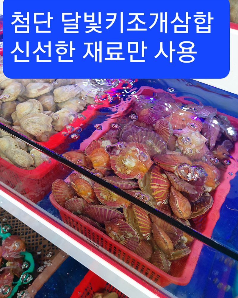 달빛키조개삼합 첨단점
