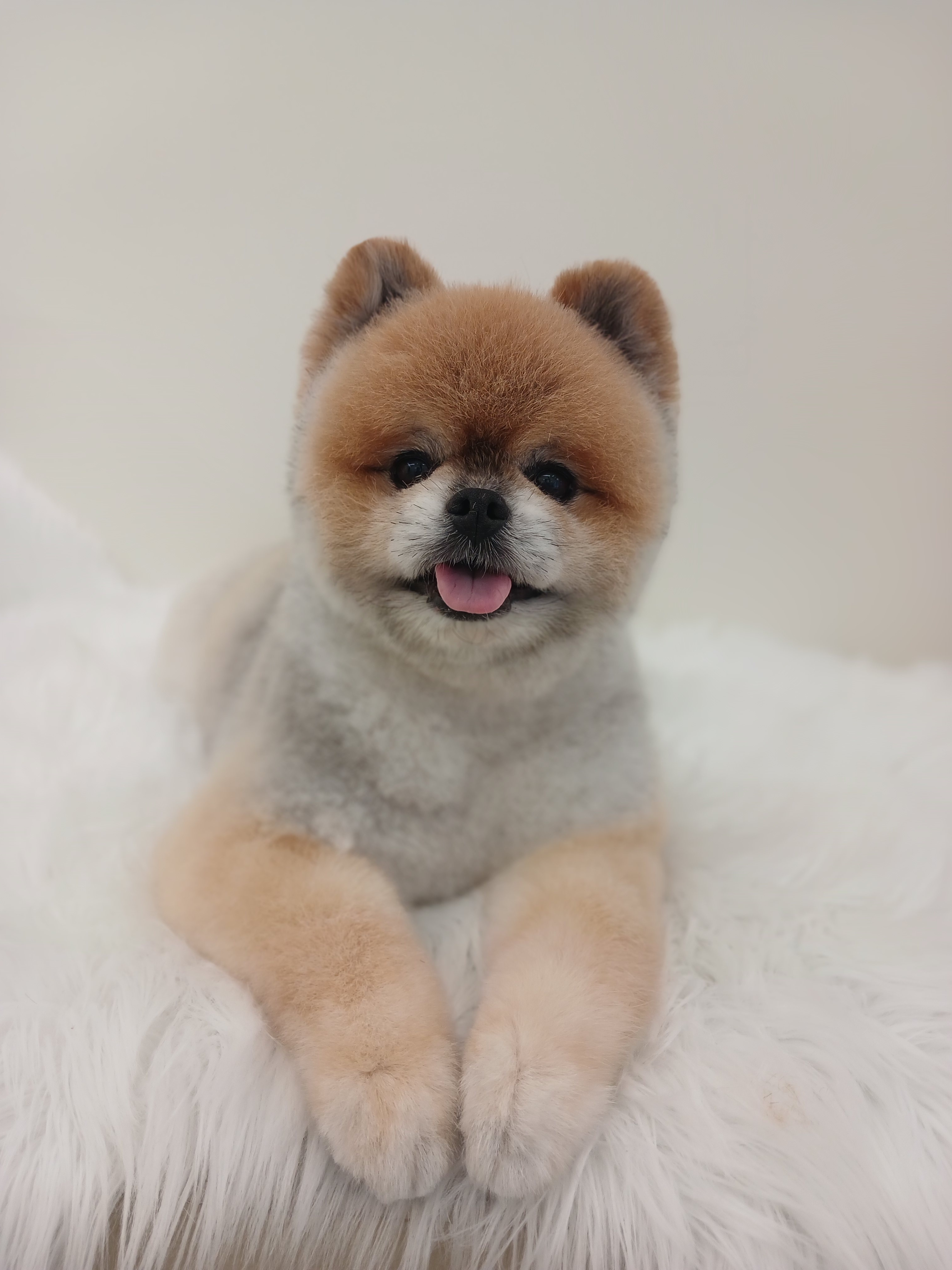 멍글몽글 대표 이미지