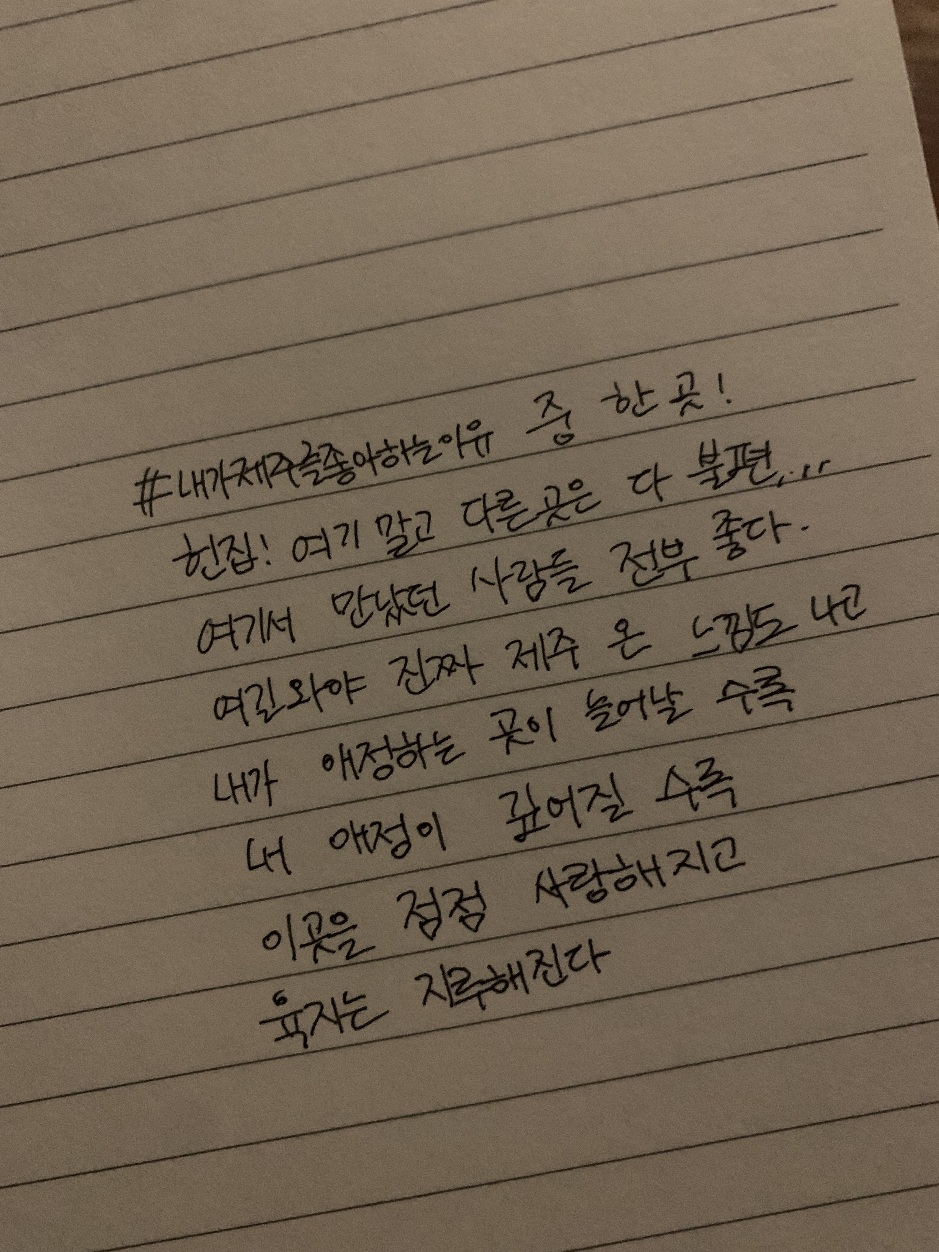 헌집 제주혼술바