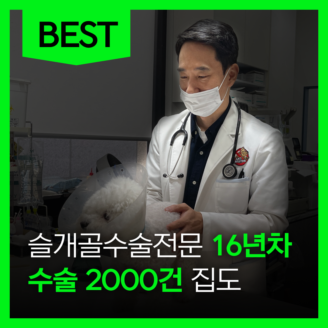 아이러브 동물병원 내부 또는 관련 모습