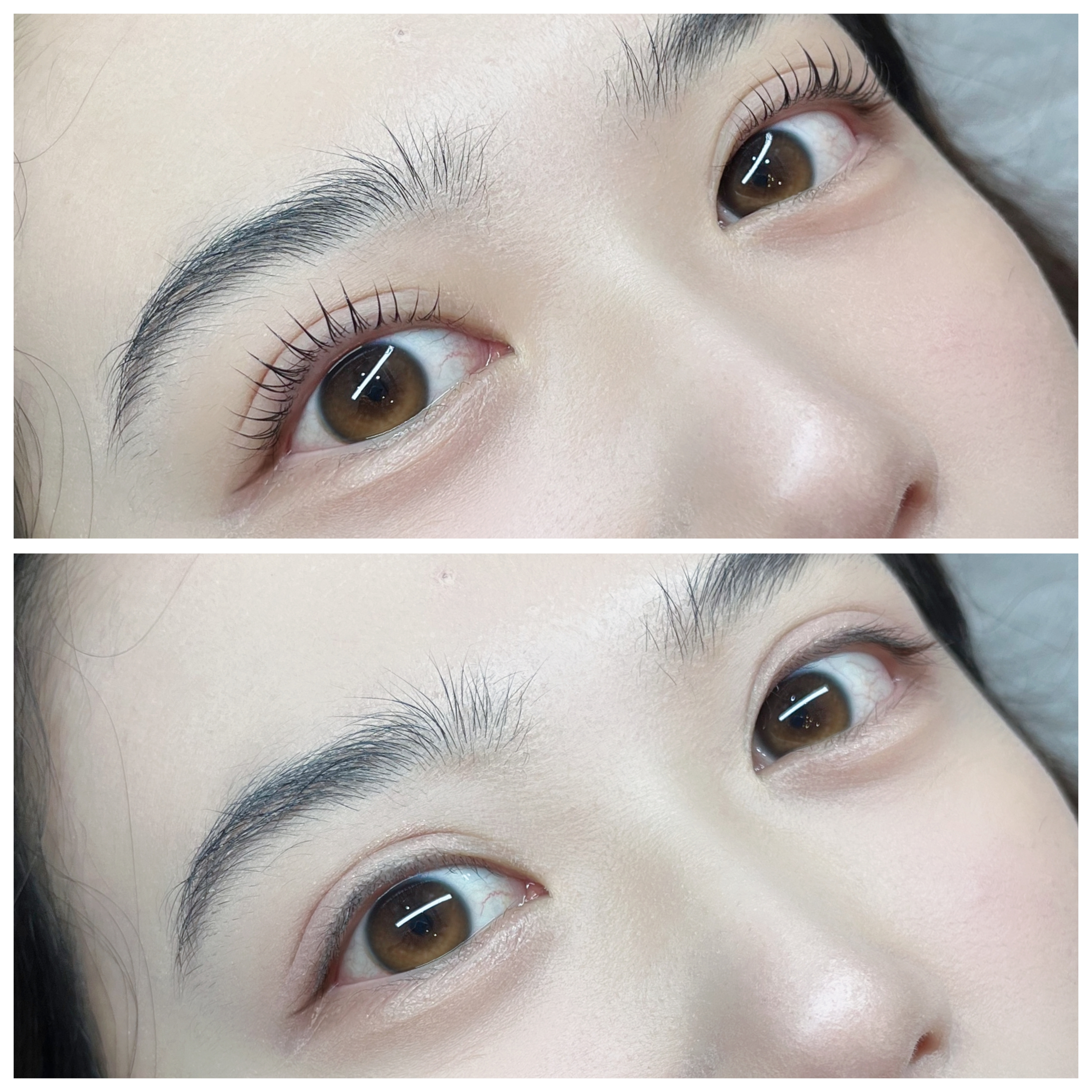 도도 디자인 대표 이미지