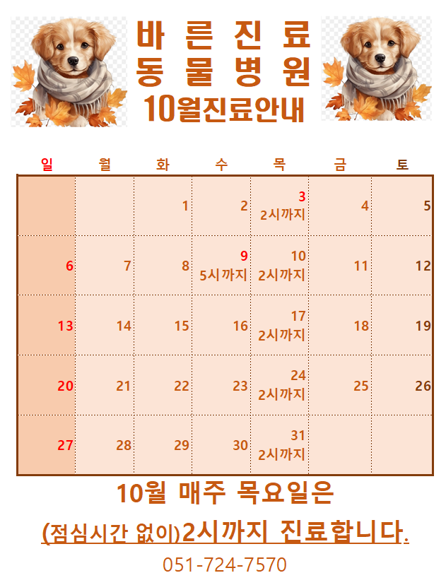 바른진료 동물병원