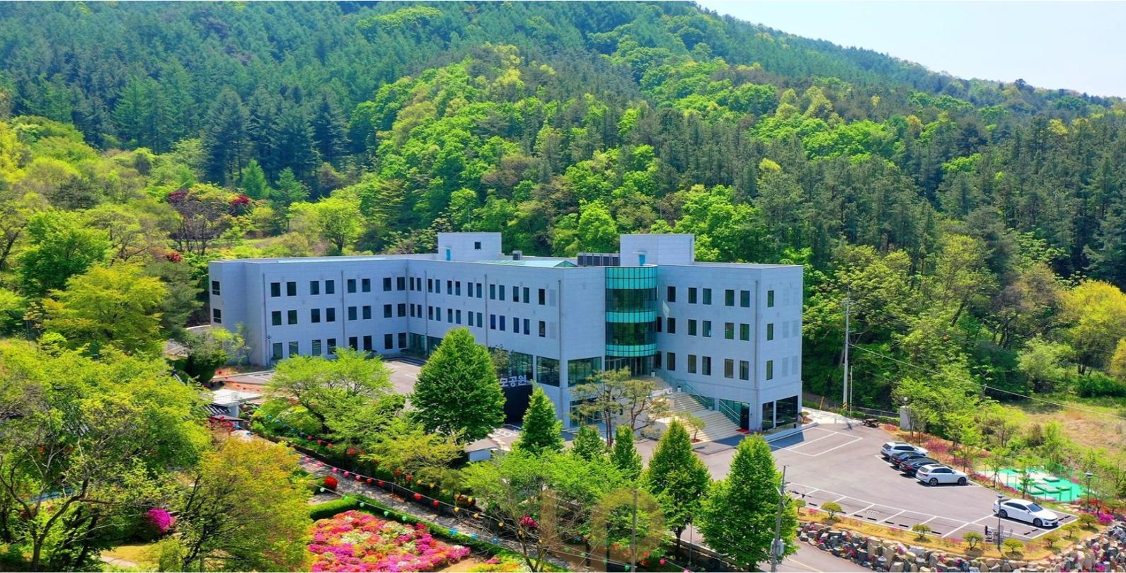 정다모