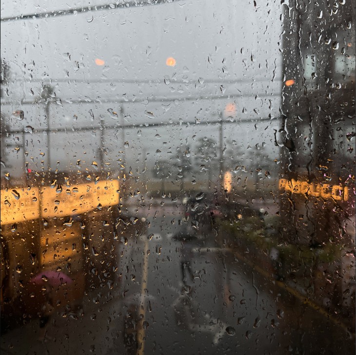 리안