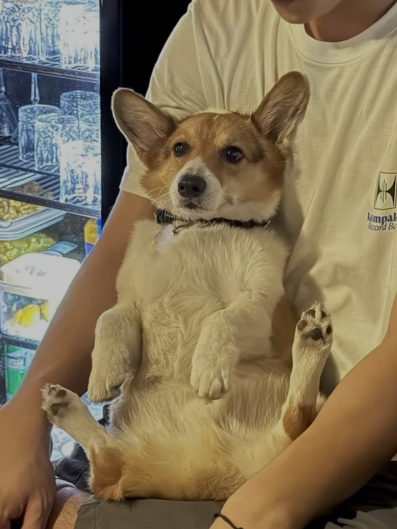 헌집 제주혼술바