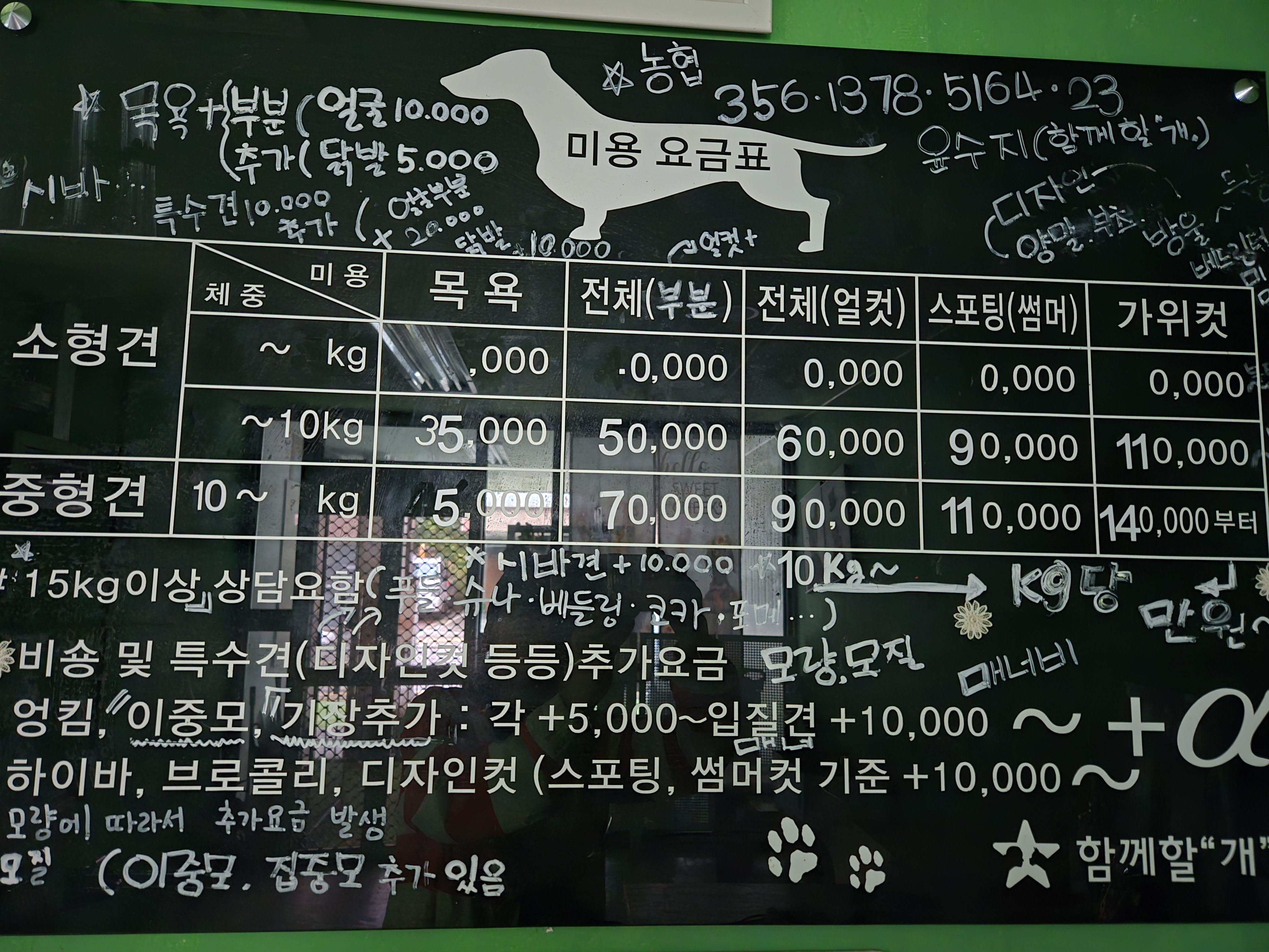 함께할개사랑할개 경기 애견맛집